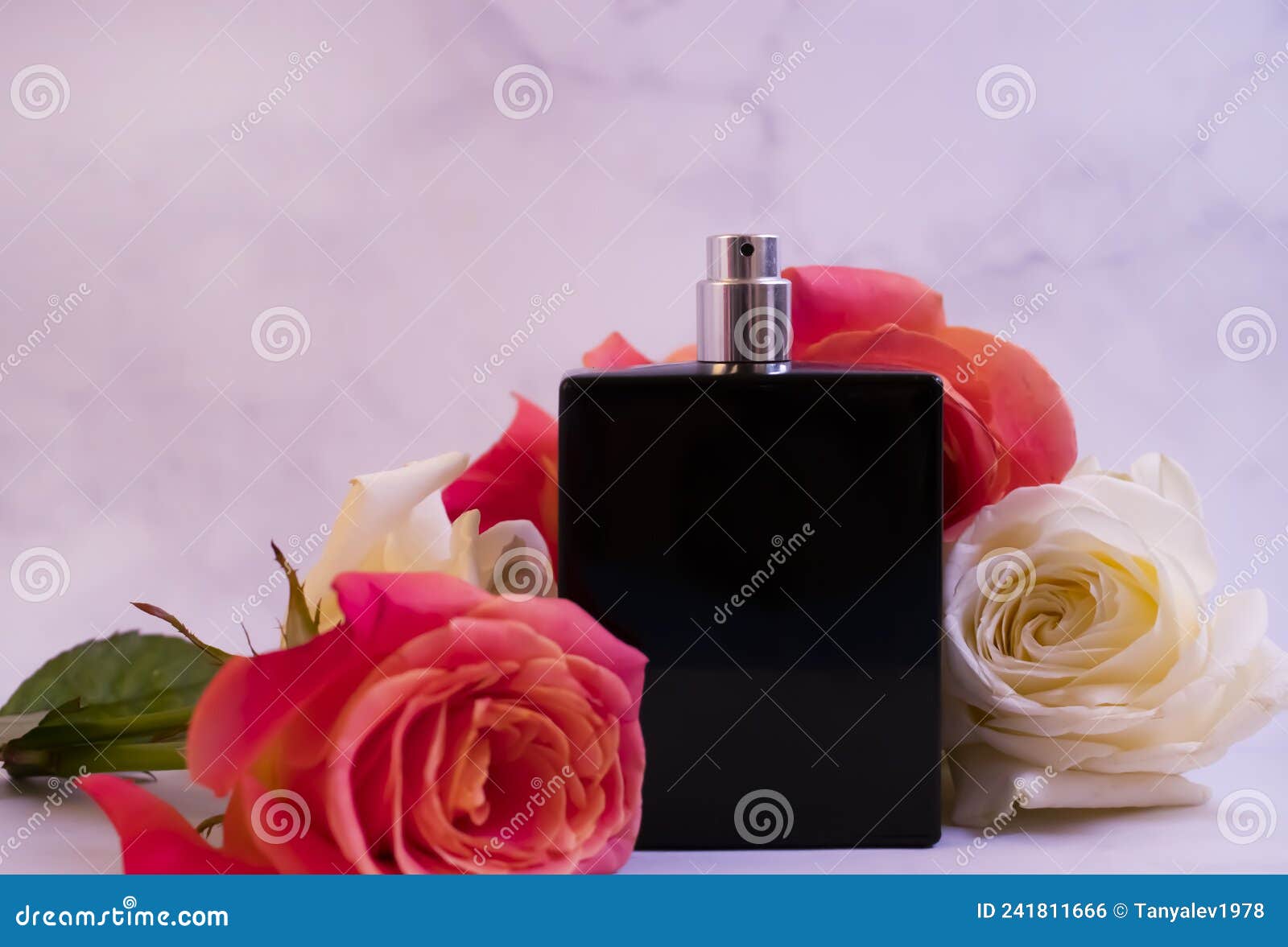 Bottle Perfume Flower Rose Background Elegance Composition Stock Photo