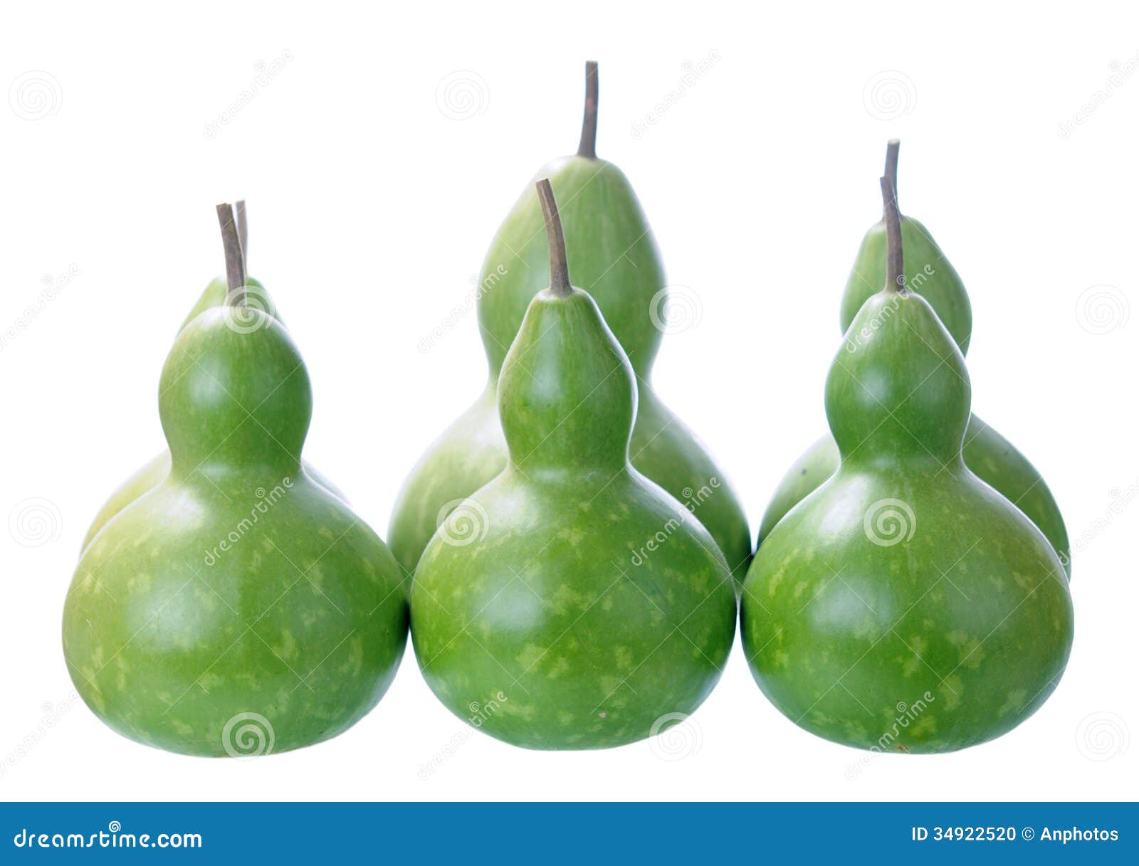 Bottle squashes stock photo. Image of nutrition, bottle 34922520