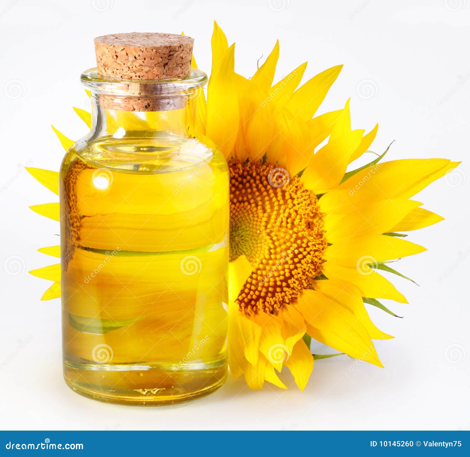 Bottle with sunflower stock photo. Image of yellow, white 10145260
