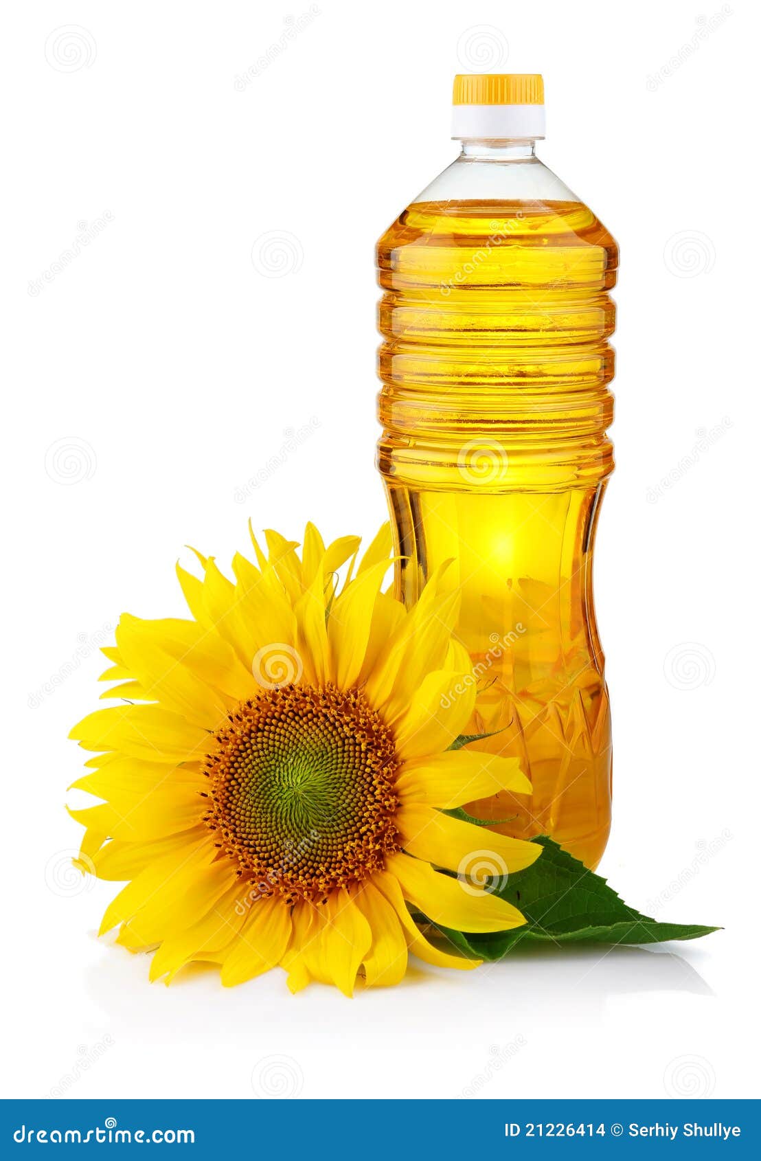 Bottle of Sunflower Oil with Flower Isolated Stock Photo Image of