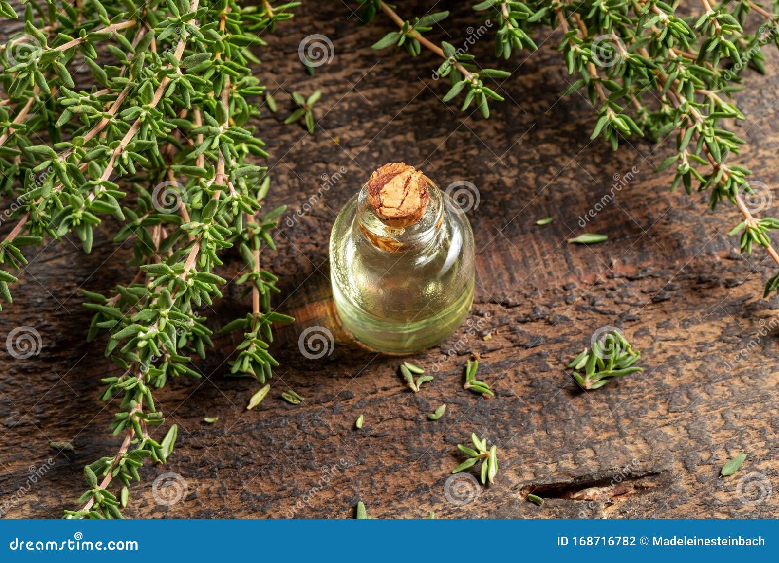 A Bottle of Thyme Essential Oil with Fresh Thyme Stock Photo Image of relaxation, closeup