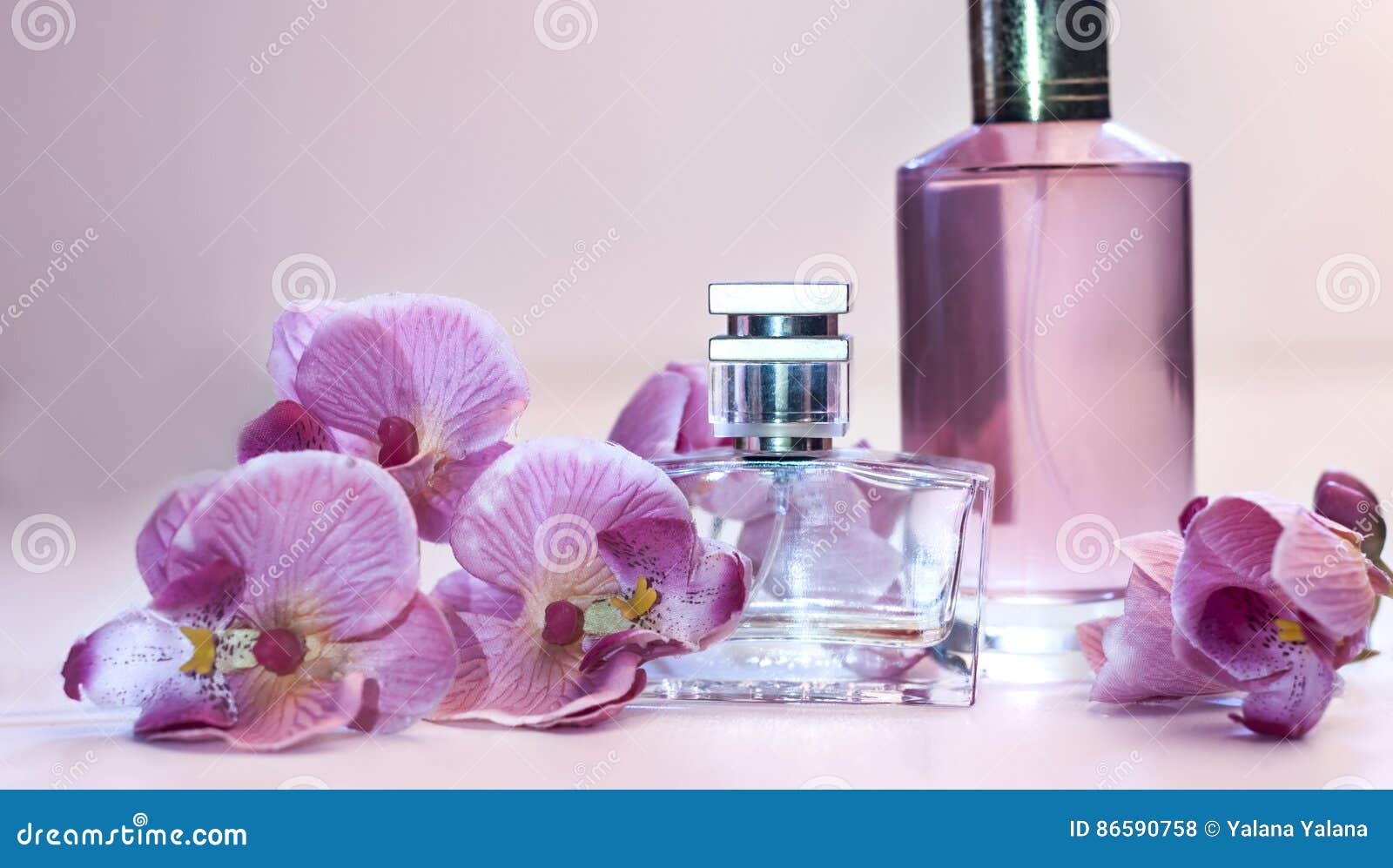 Bottle of Women`s Perfume on a Pink Background Stock Photo - Image of ...