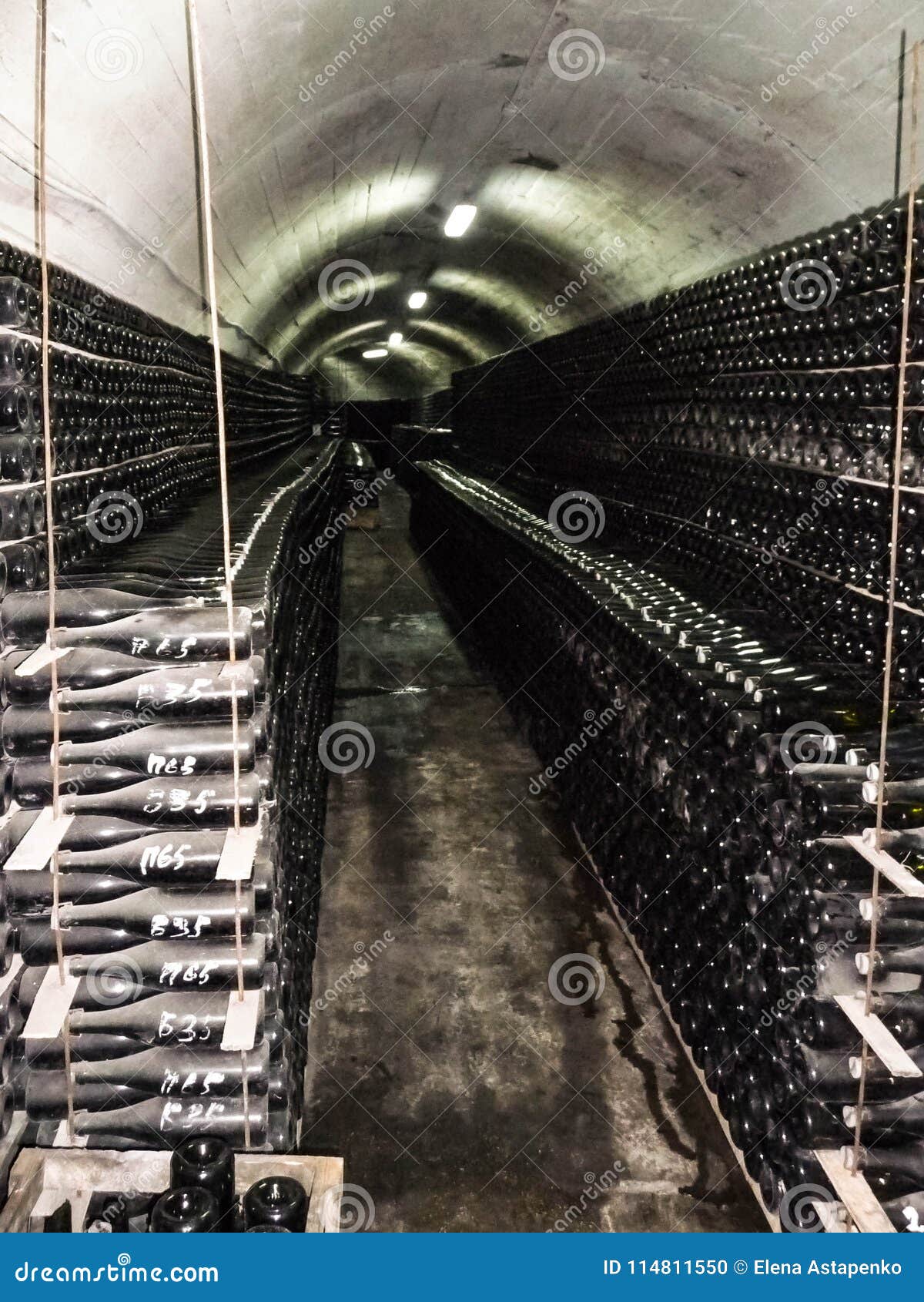 Bottled Wine in the Dungeon Stock Photo Image of shelf, viniculture