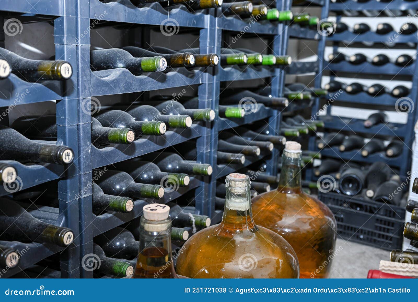 Bottled Wines on the Shelves Inside an Underground Cellar Stock Photo