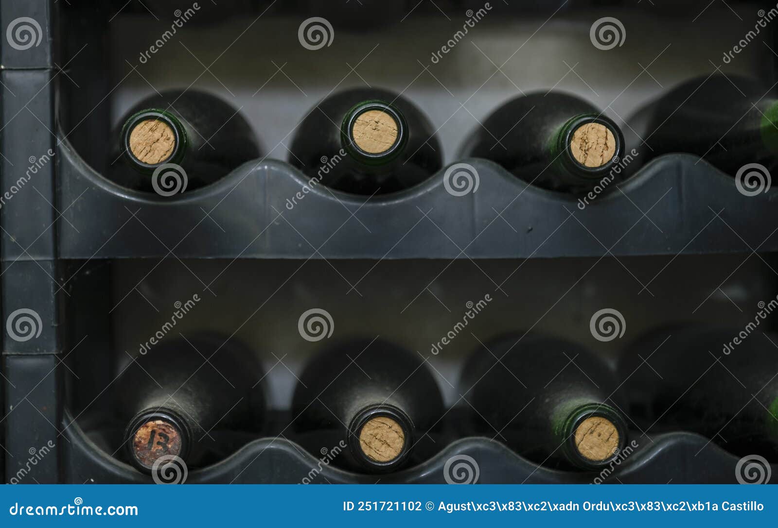Bottled Wines on the Shelves Inside an Underground Cellar Stock Photo