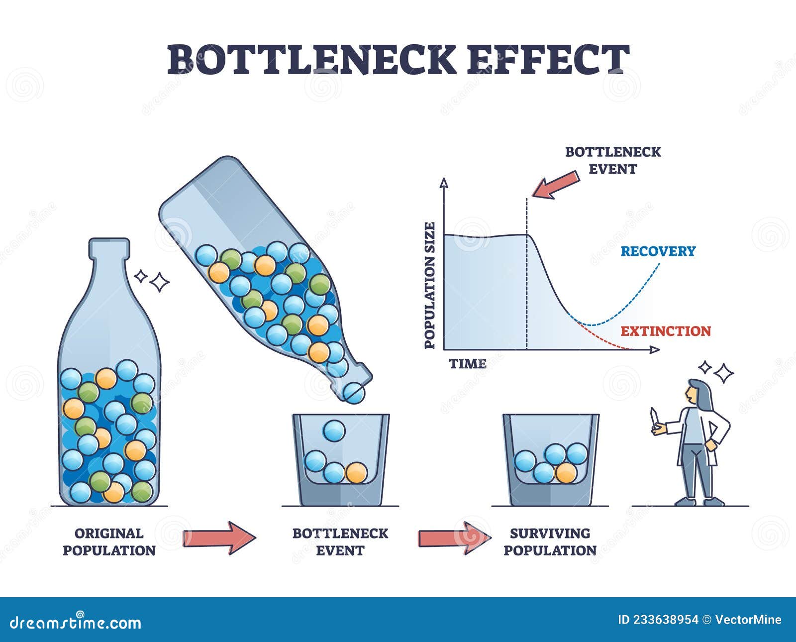 bottleneck effect axis scheme on genetic drift and population outline diagram