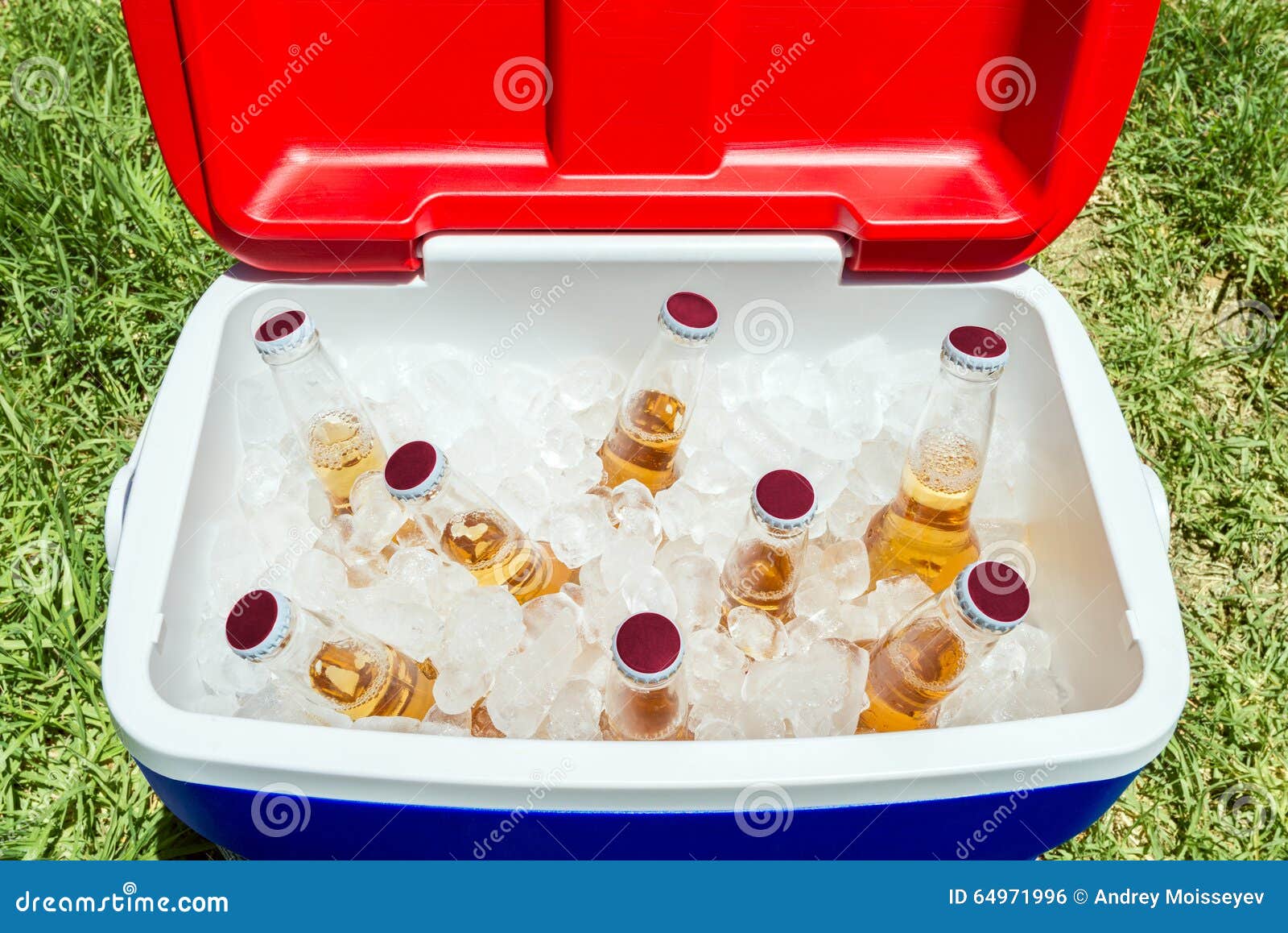 bottles of beer in cooler box with ice