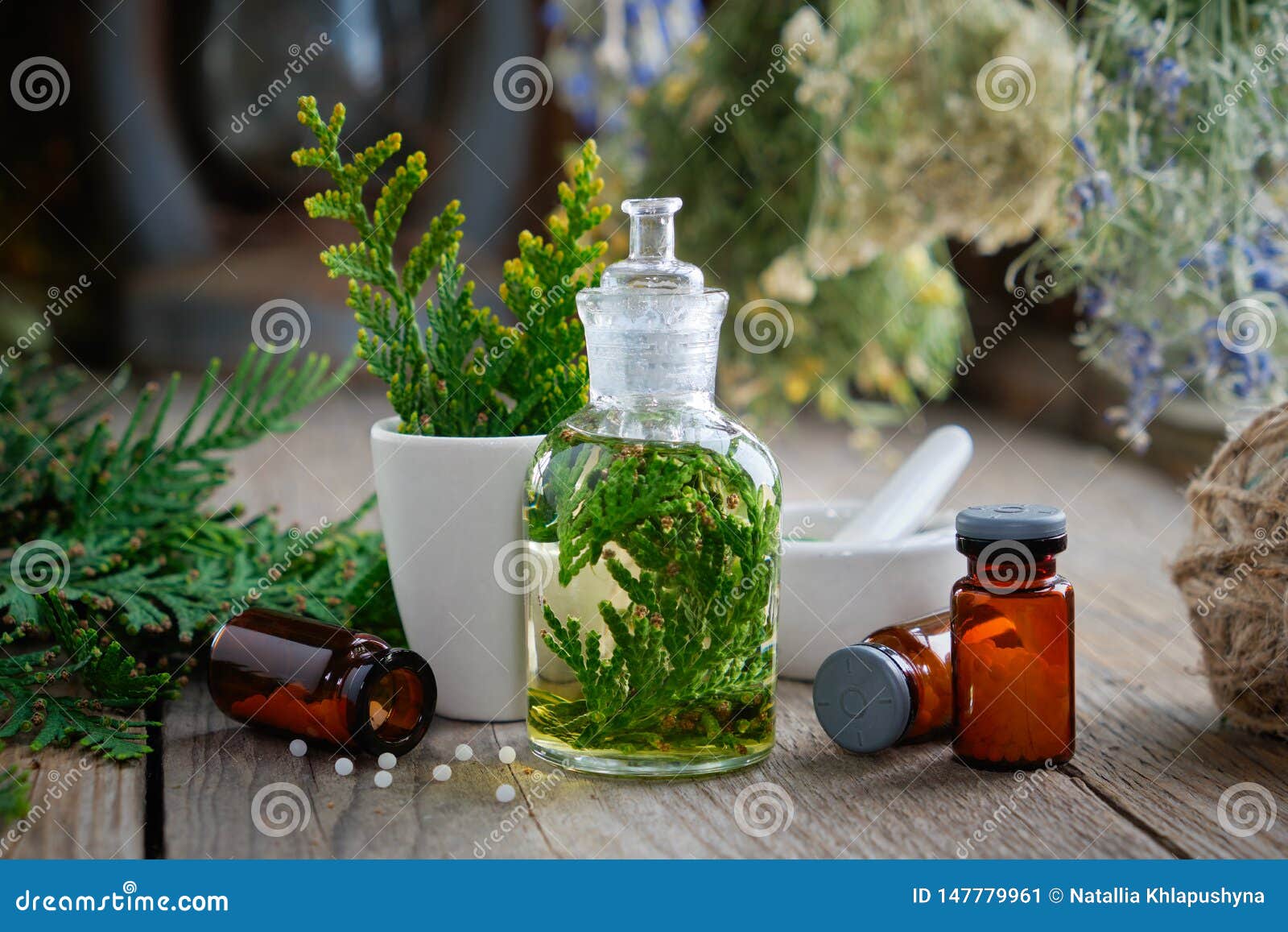 bottles of homeopathic globules, thuja infusion, thuja occidentalis plant and mortar. homeopathy.