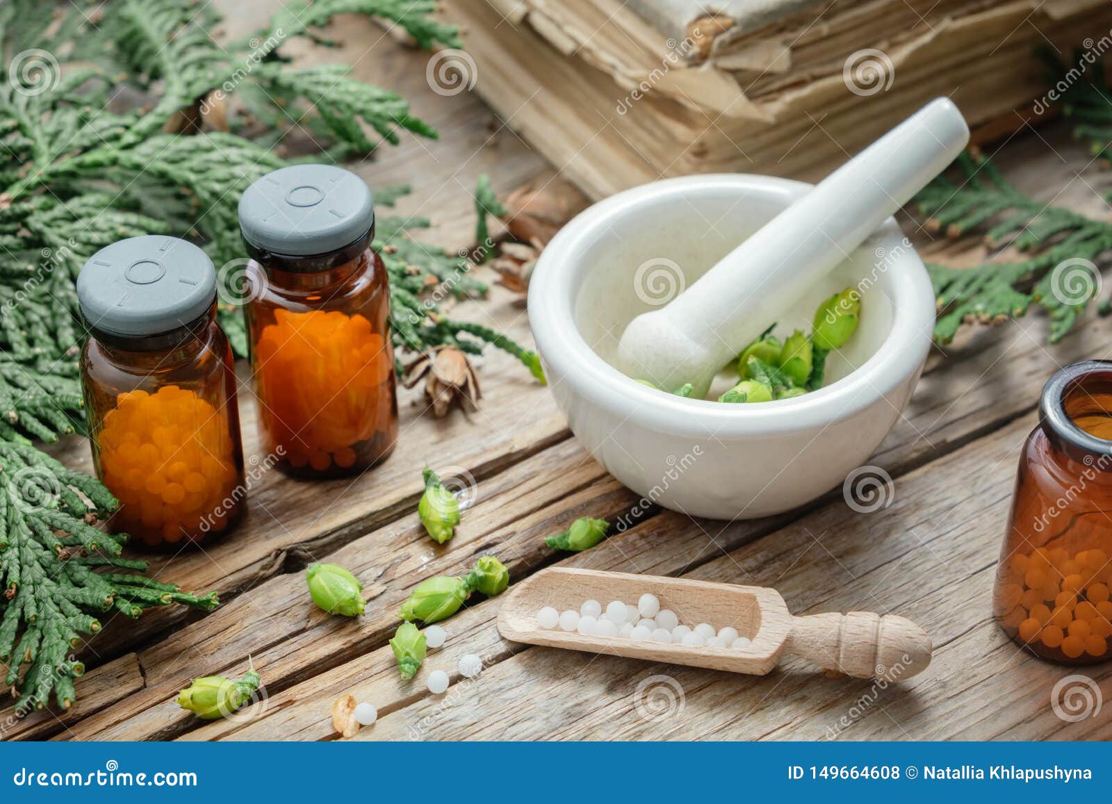 bottles of homeopathic globules, thuja occidentalis plant, old books and mortar. homeopathy.