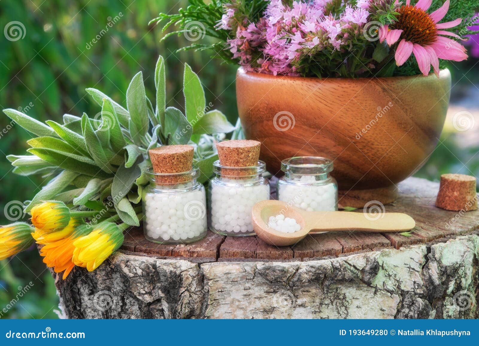 bottles of homeopathic globules, wooden mortar of medicinal herbs, healing plants on stump outdoors