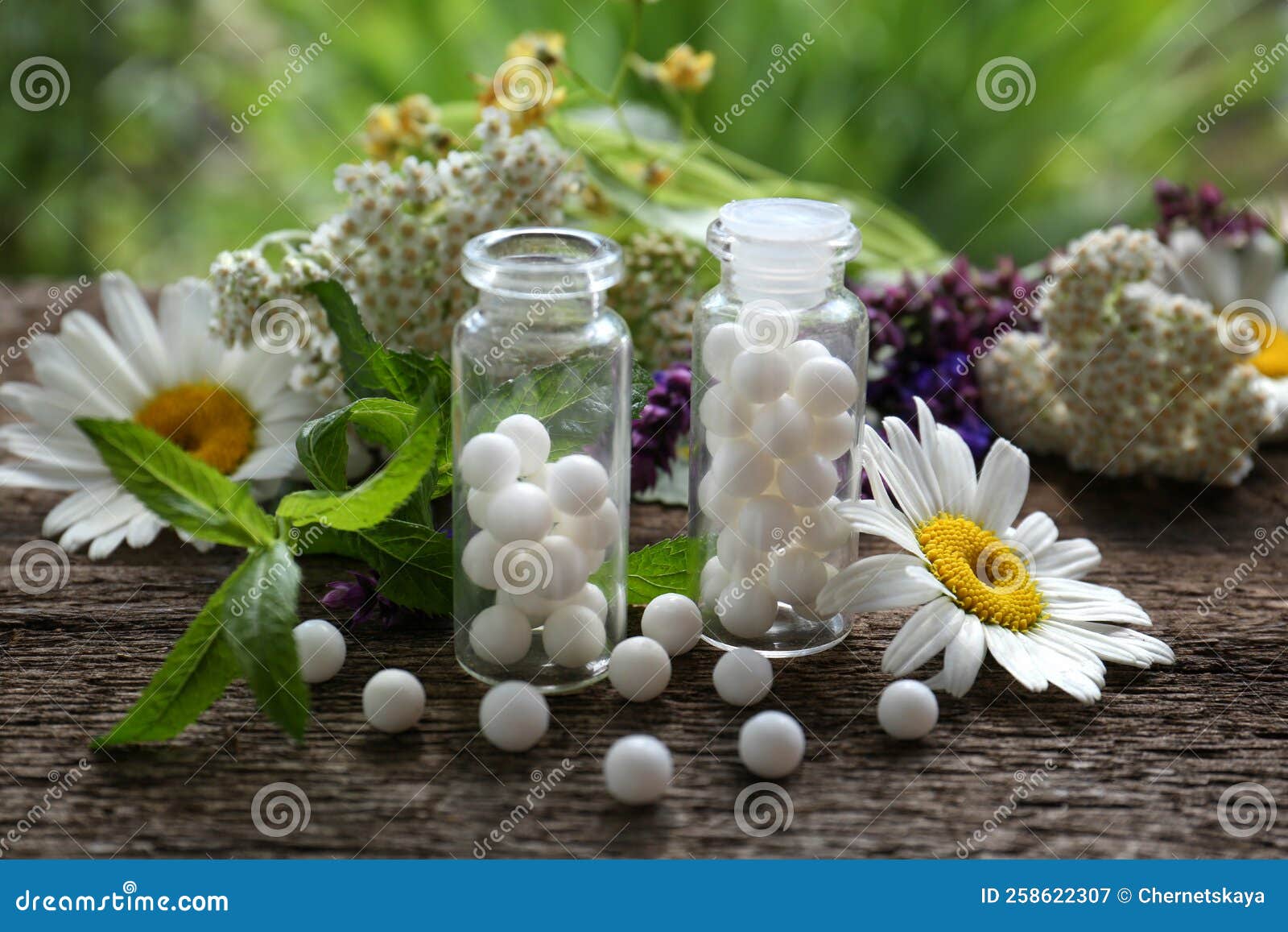 Bottles of Homeopathic Remedy and Different Plants on Wooden Table