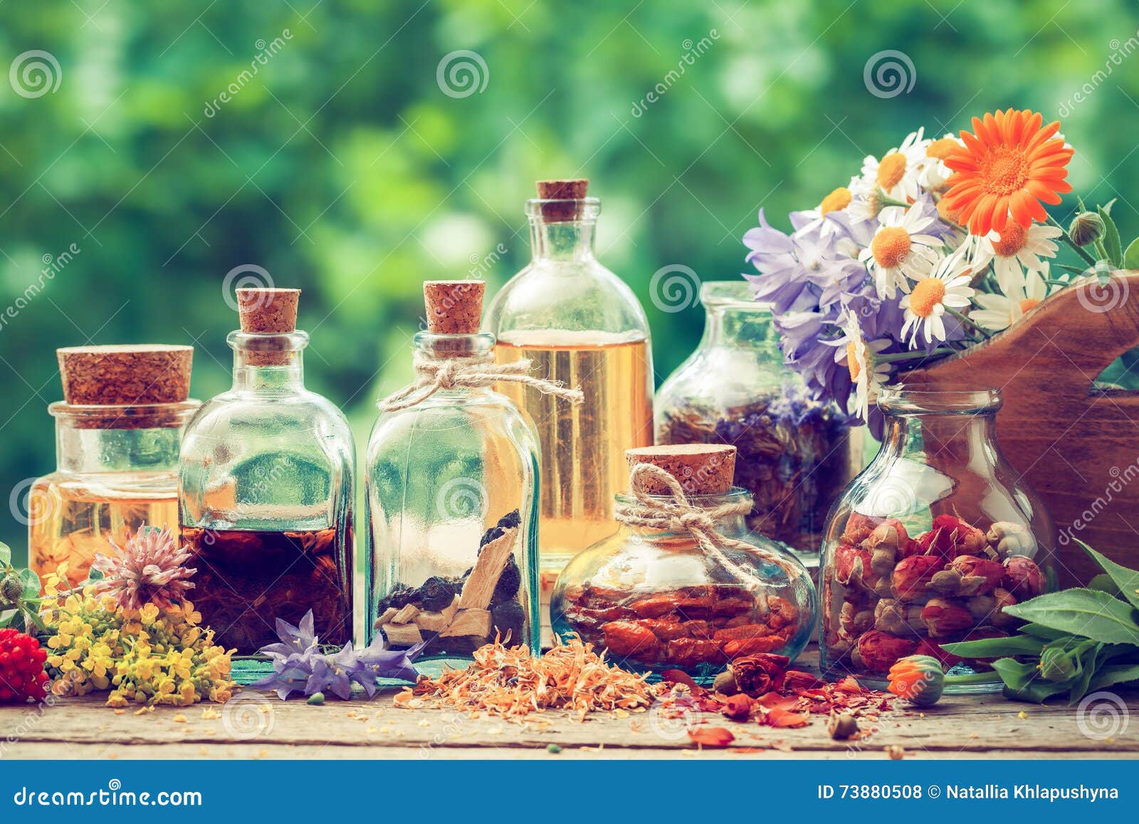 bottles of tincture and dry healthy herbs outdoors