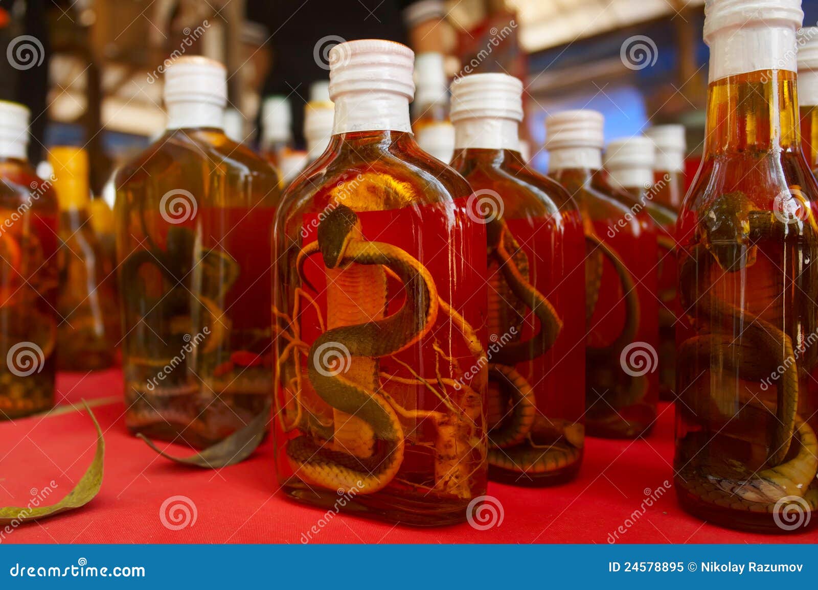 Bottles of Whiskey and Snakes Stock Image Image of liquor, bottle