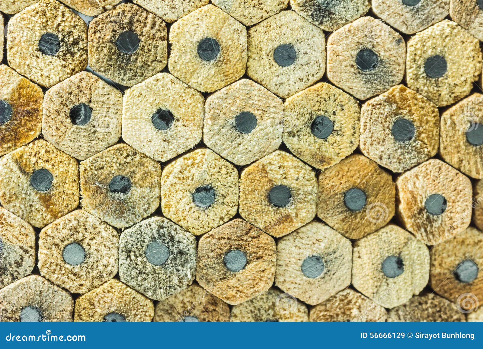 Bottom Pencils for You Texture Stock Image Image of creativity