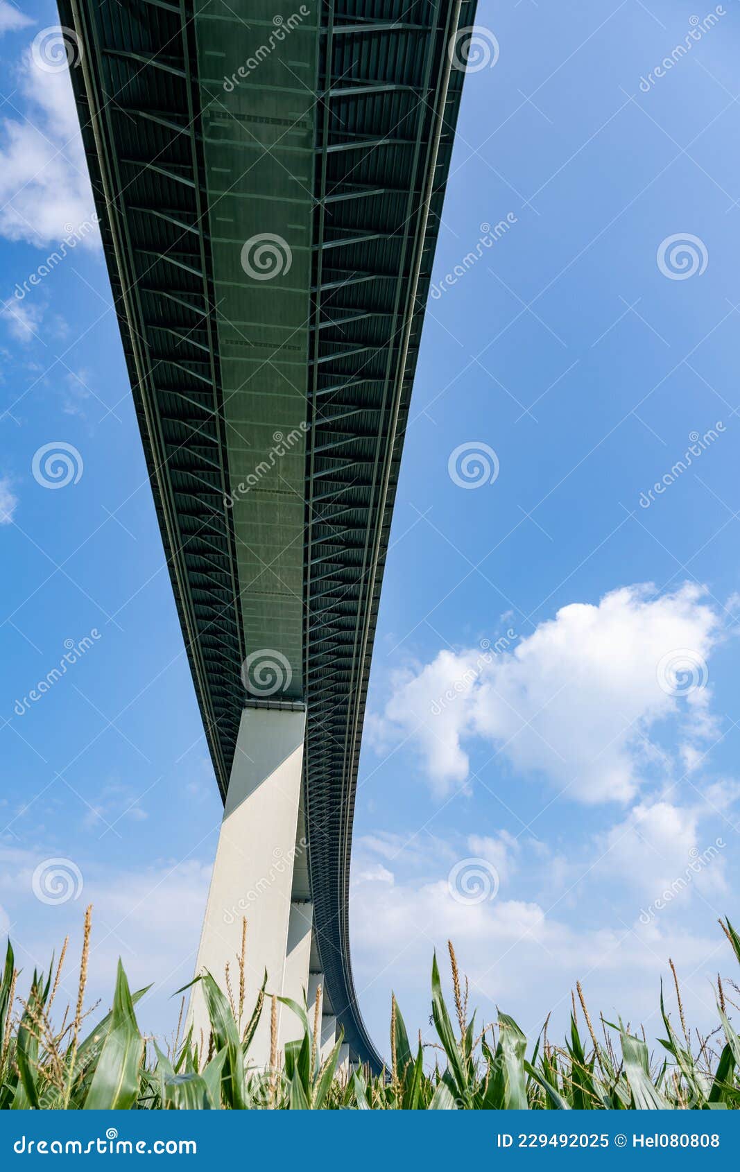 mintarder ruhrtalbrÃÂ¼cke Ã¢â¬â seen from the corn field. the bridge over ruhr valley is the longest road bridge in germany
