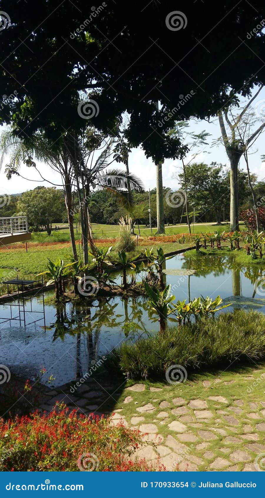 botÃÂ¢nico garden at sÃÂ£o josÃÂ© dos campos