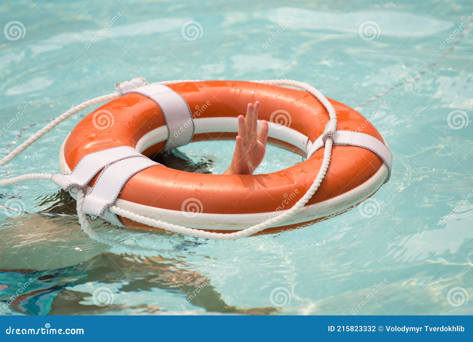 Belle Femme Assise Dans Une Bouée De Sauvetage Dans Une Piscine