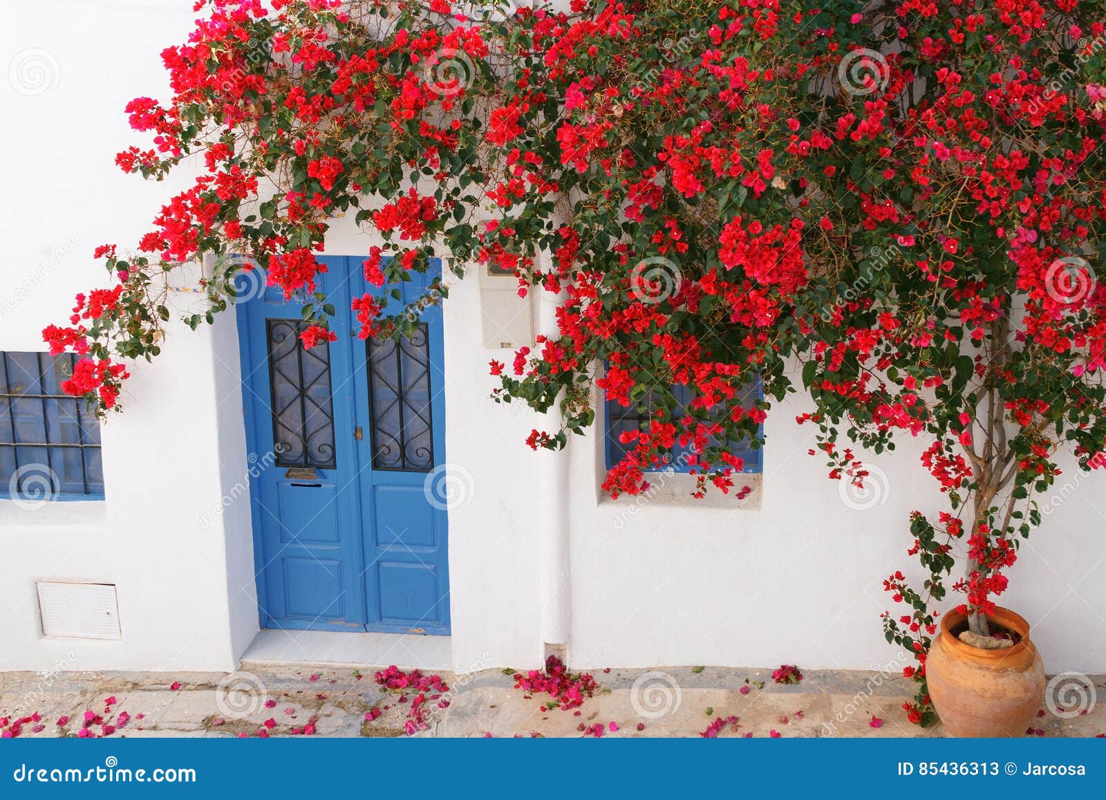 bougainvillea flowered on the facade of a house typical of nijar, andalusia, spain