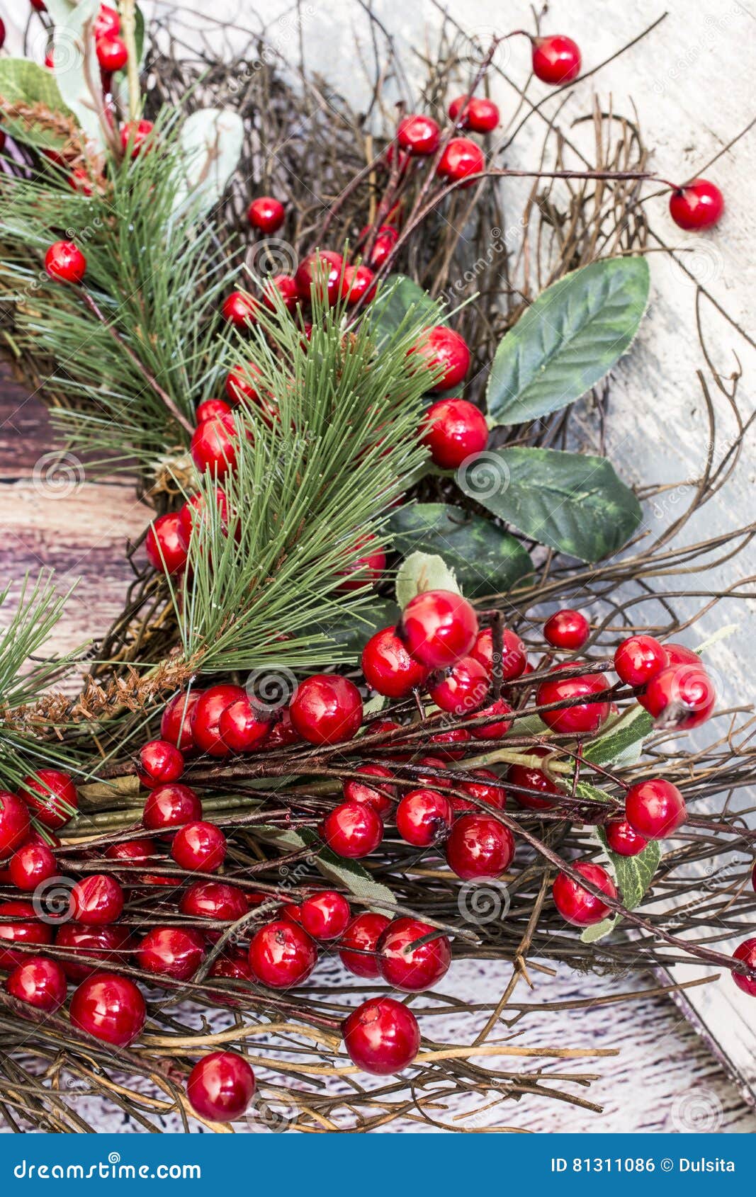 Boughs of holly stock photo. Image of ornament, needle - 81311086