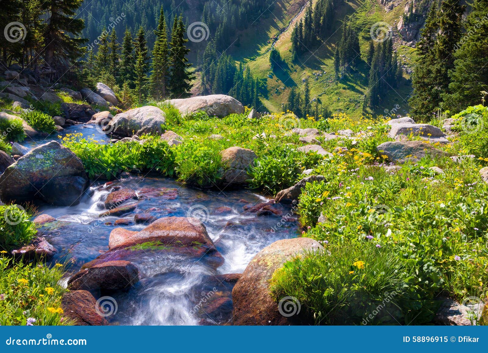 boulder creek surrounded by summer wildflowers