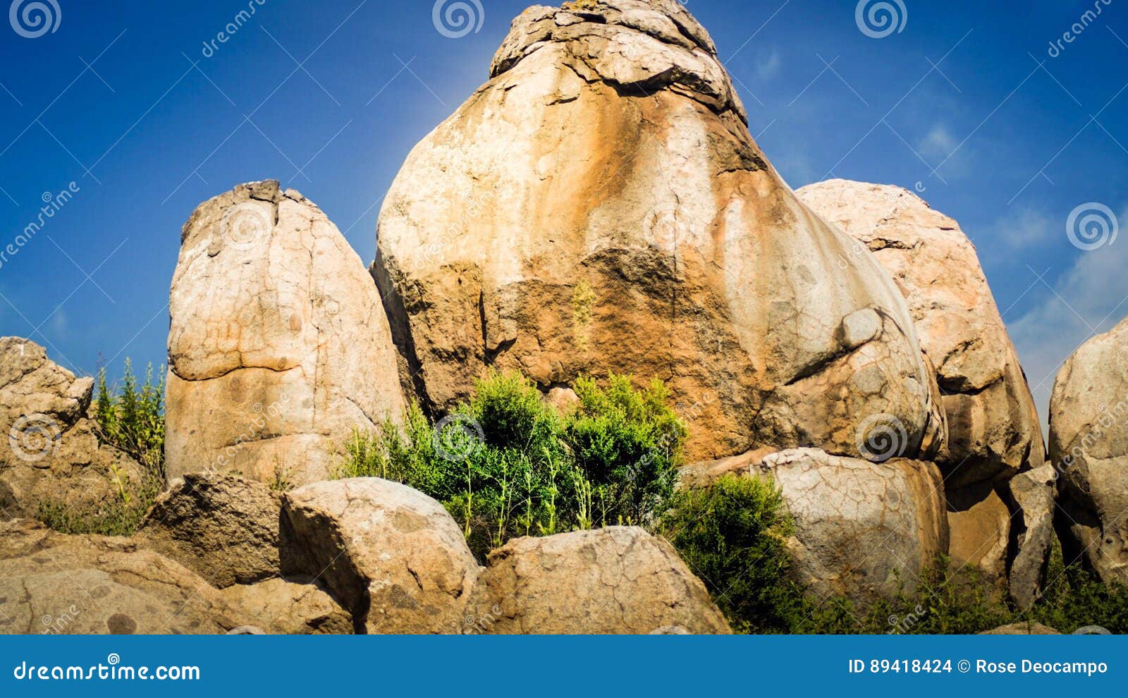 Boulder in San Diego River Trail Stock Photo Image of hiking, river
