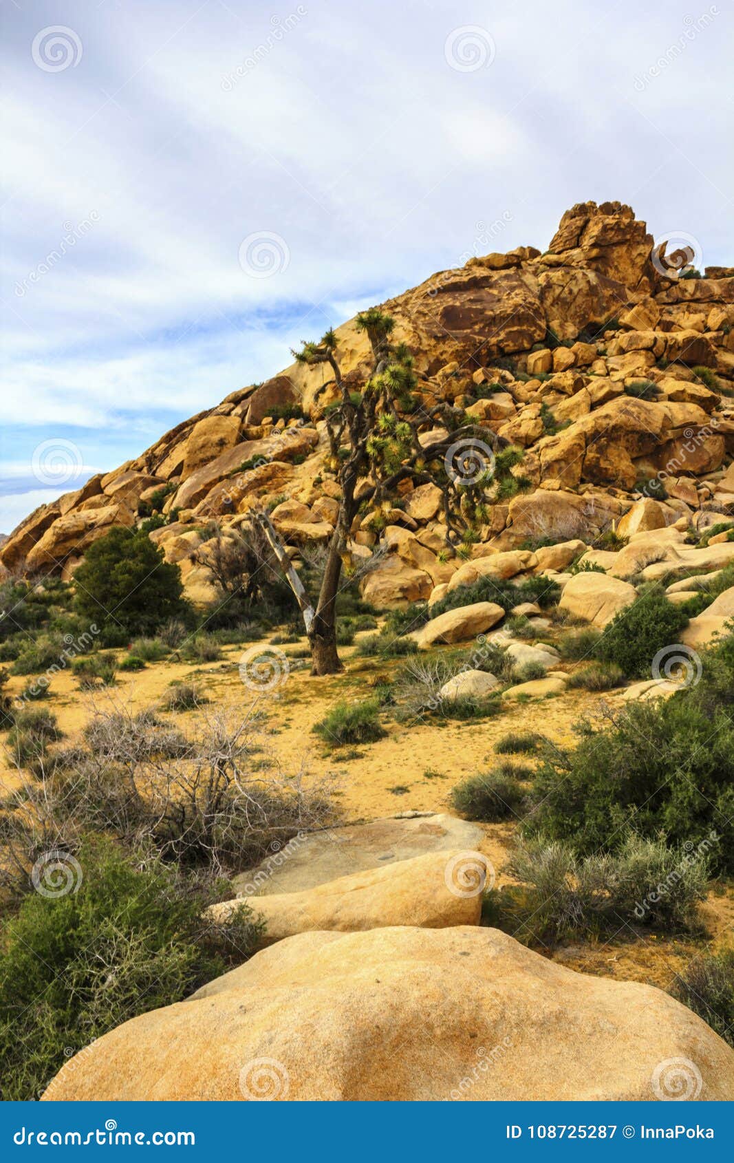 Boulders, Red Rock Formations on the Hiking Trail in Joshua Tree ...