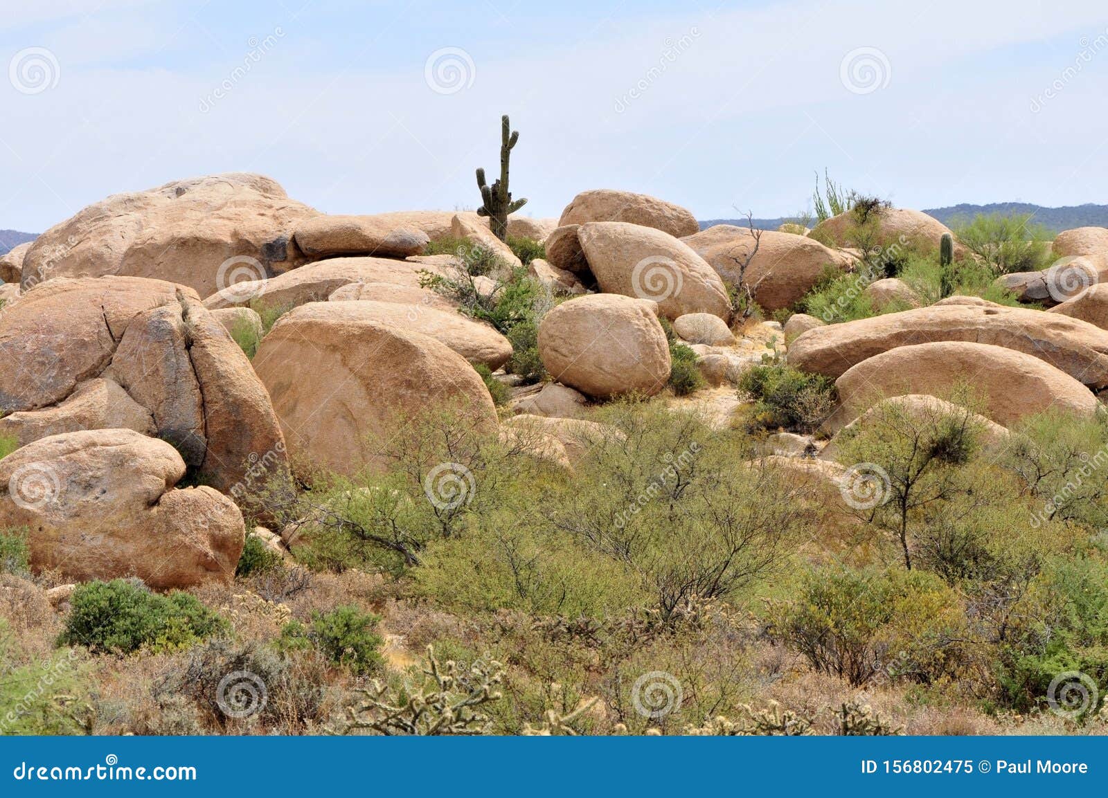 boulders sonora desert arizona