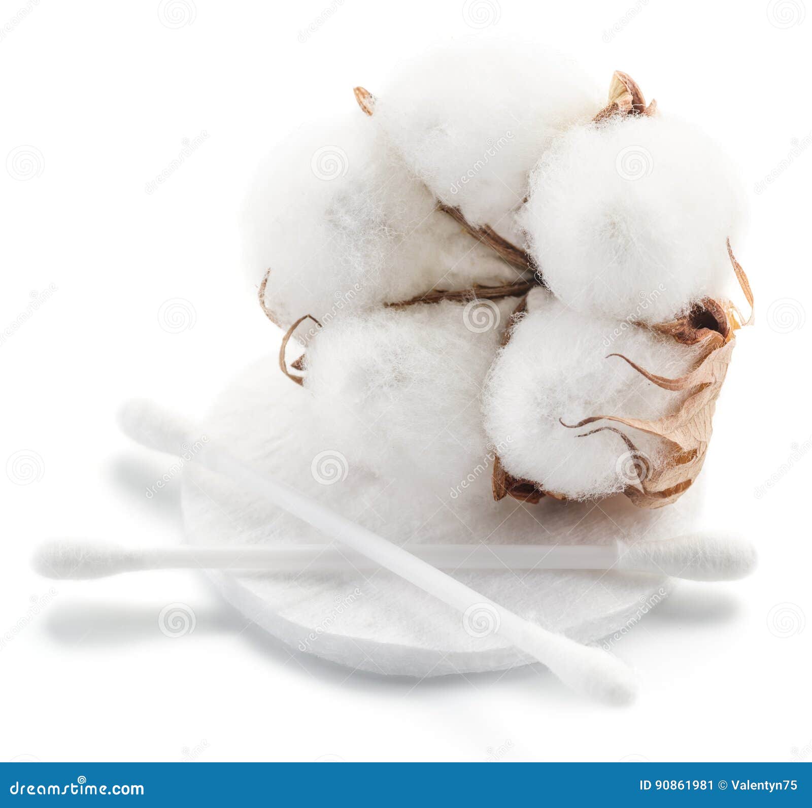 Boule De Coton Et Tampons Et Protections De Coton Pelucheux Image