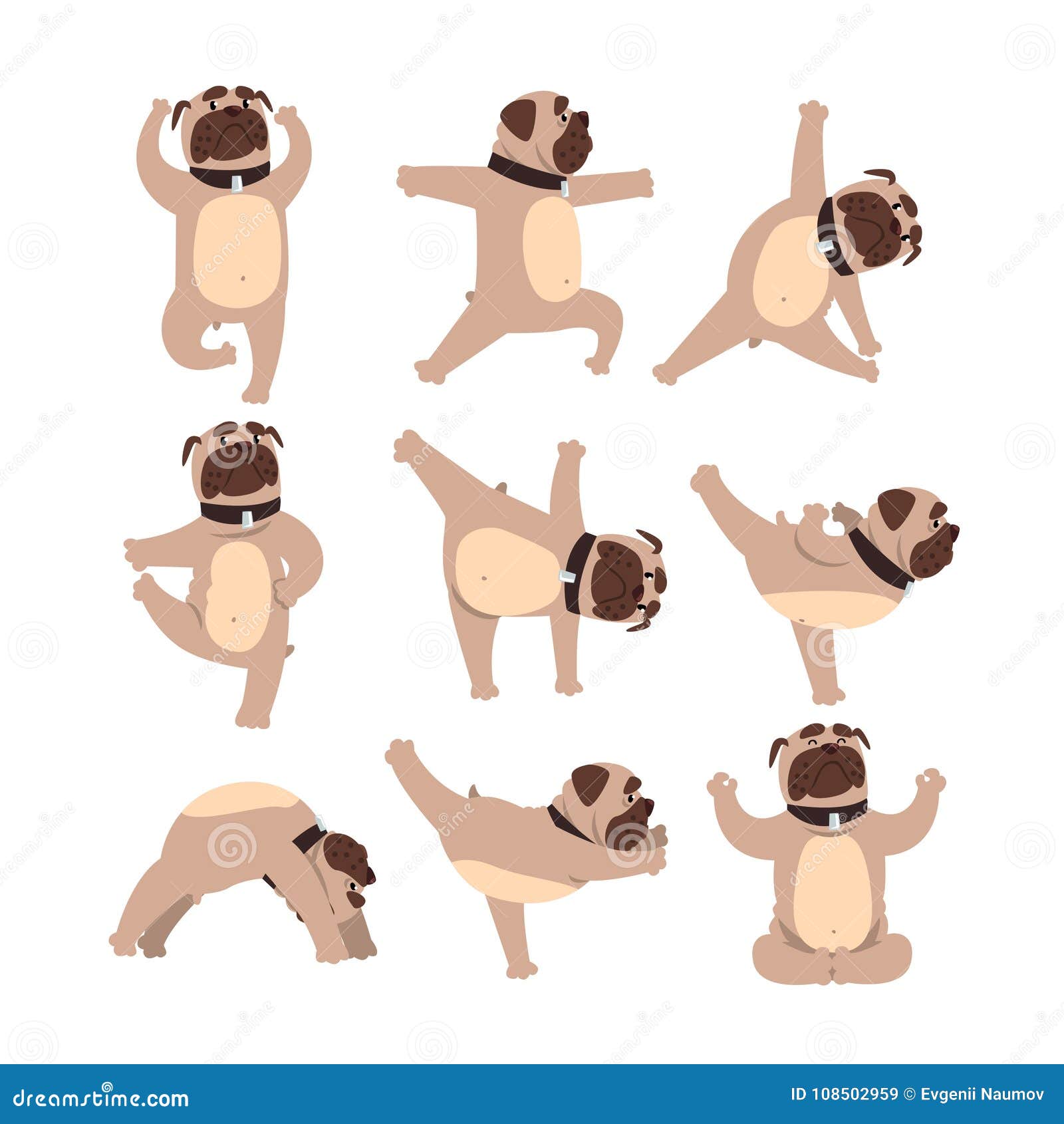 Bouledogue Drôle Dans Différentes Poses De Yoga Style De Vie