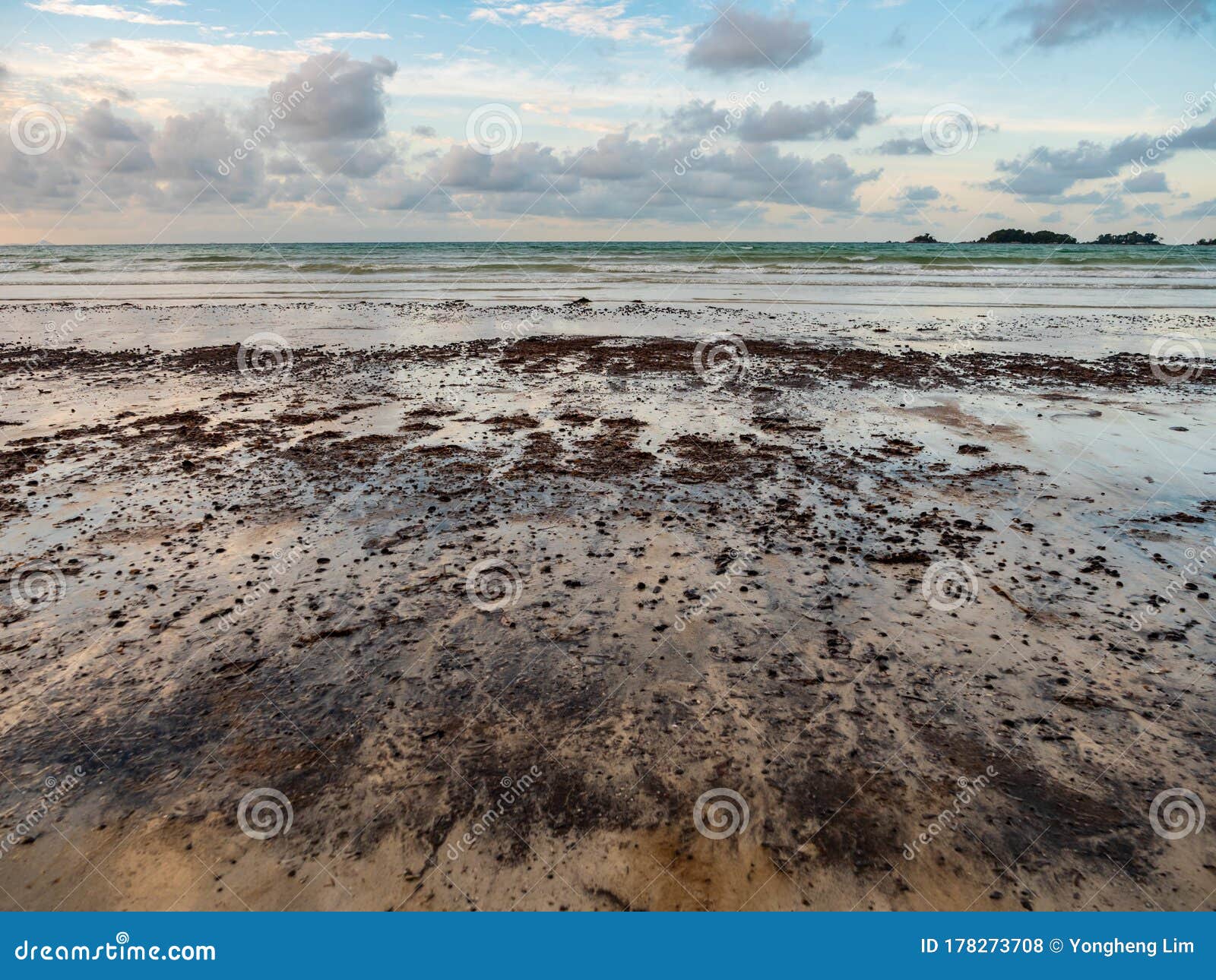 Boules De Boue Goudron Et D'huile Sur La Plage De L'île De Bintan Lagoi  Indonésie Photo stock - Image du marin, nuisible: 178273708