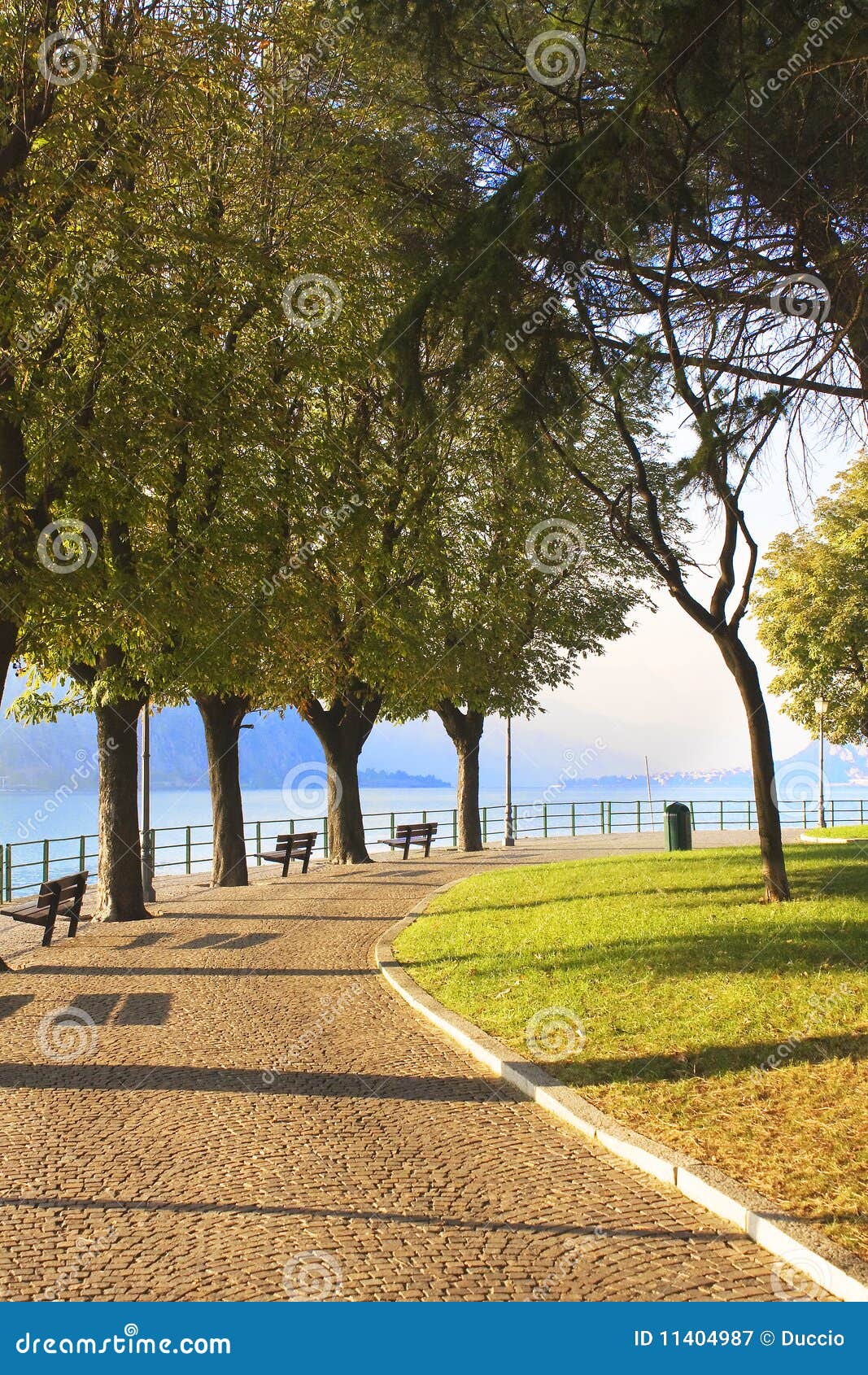 Boulevard trees stock image. Image of floor, plant, area 11404987