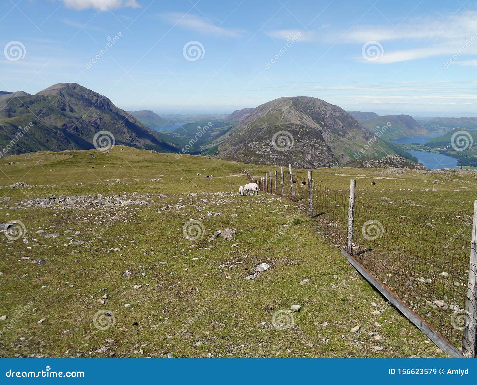 boundary fence below brandreth, lake district