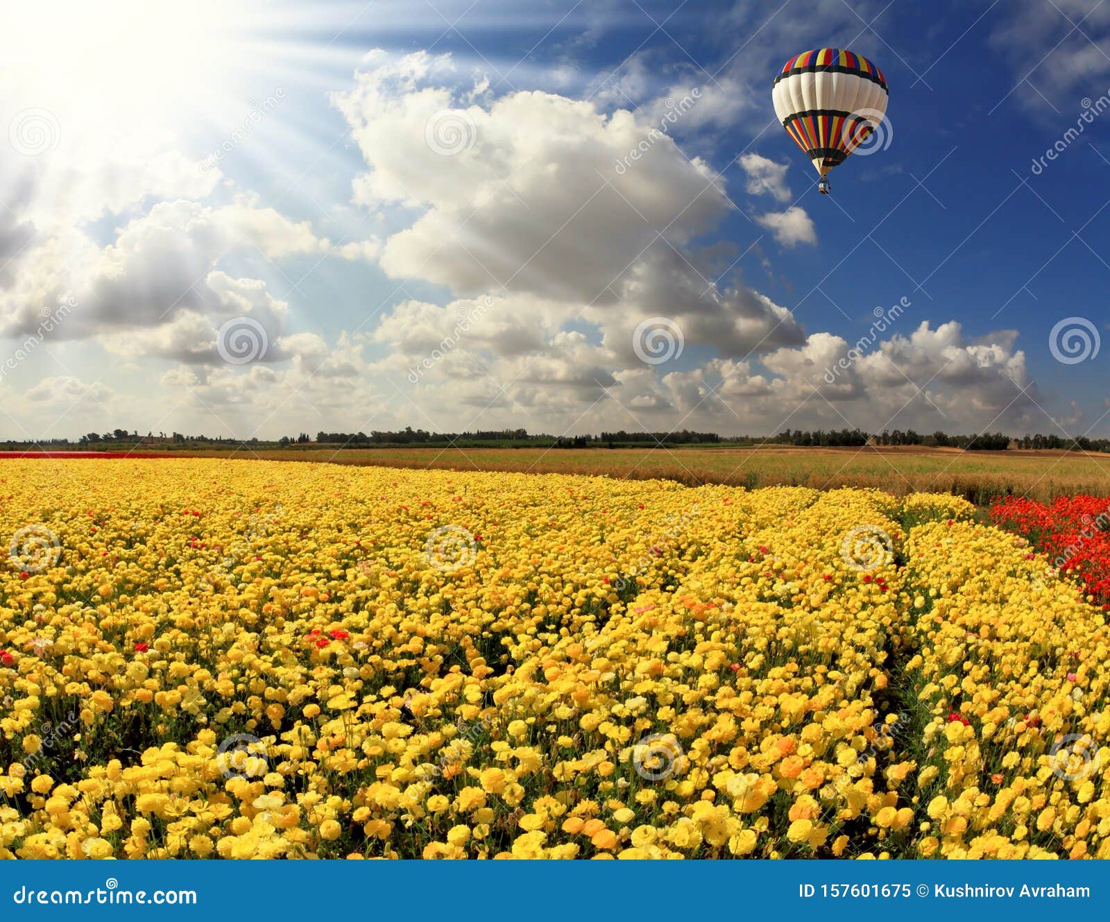 Flying Over Fields of Huge Multicolored Balloon Stock Image - Image of ...