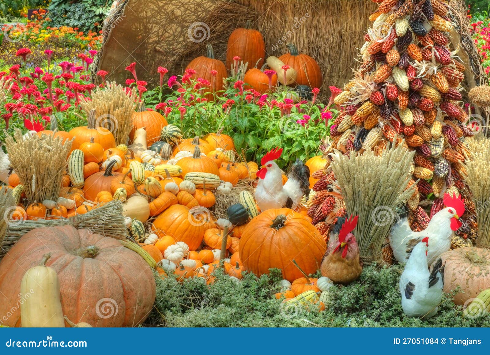 1 716 Bountiful Harvest Photos Free Royalty Free Stock Photos From Dreamstime