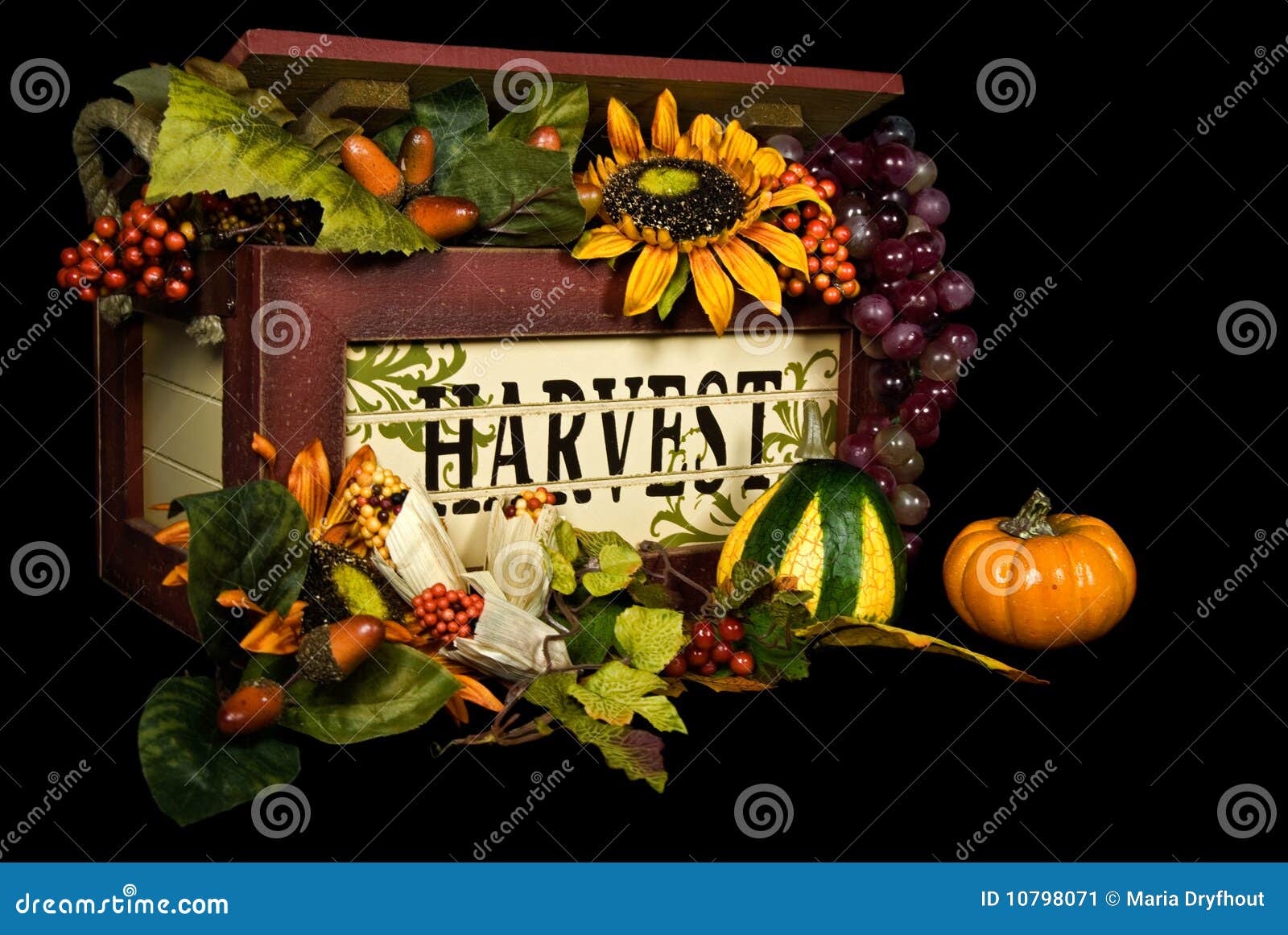 Bountiful Harvest stock image. Image of full, seasonal 10798071