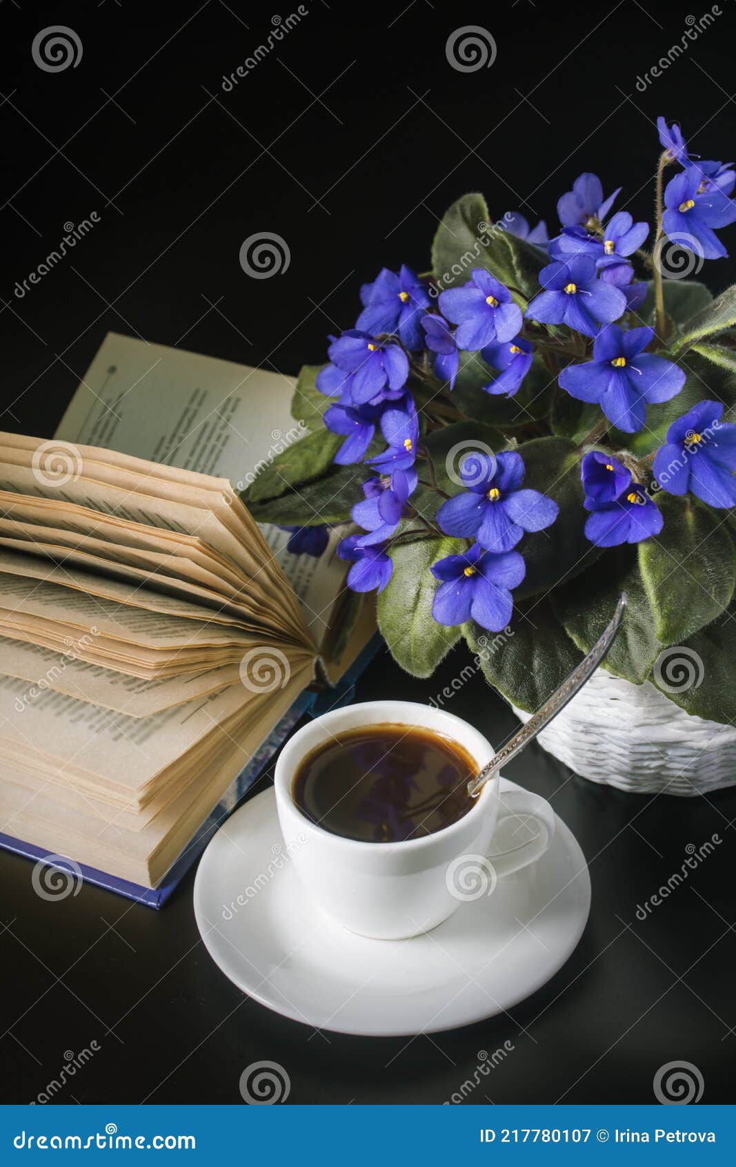 African Violets Black Background Stock Photos Free & RoyaltyFree