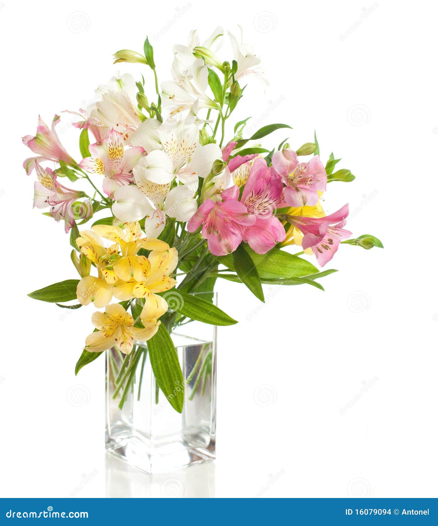 bouquet of alstroemeria