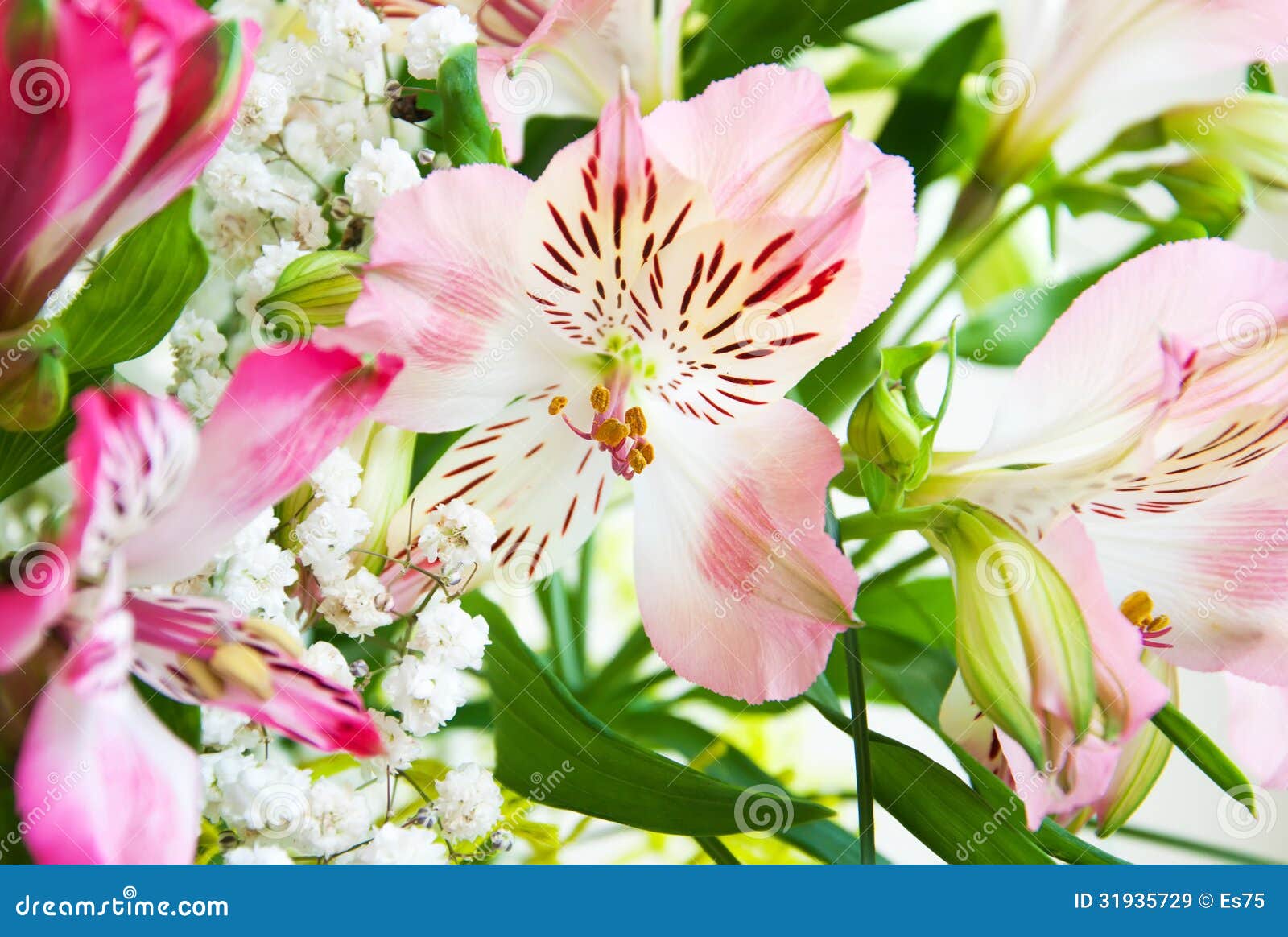 Bouquet of Alstroemeria Flowers Stock Image Image of floral, fresh