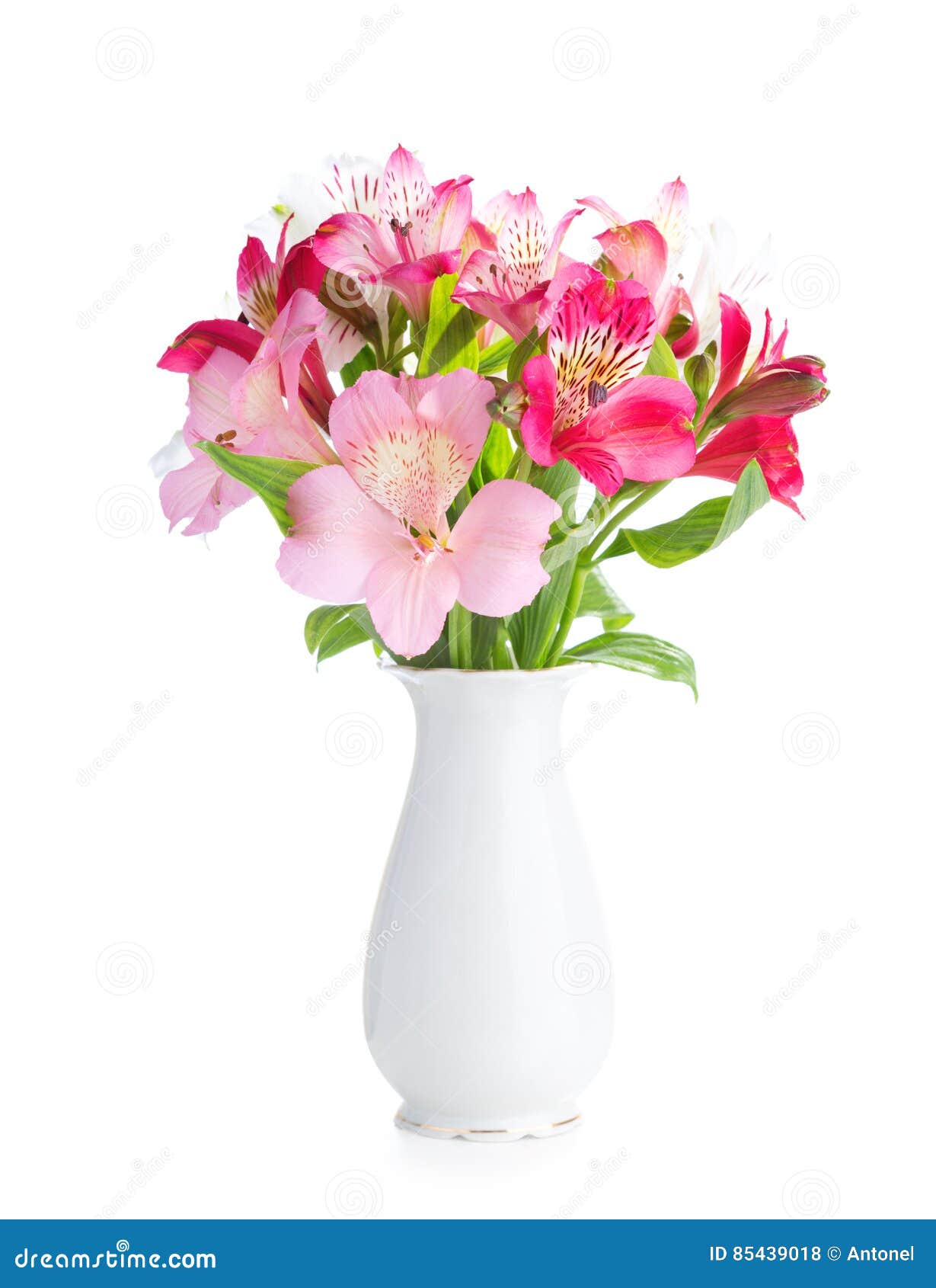 bouquet of alstroemeria flowers