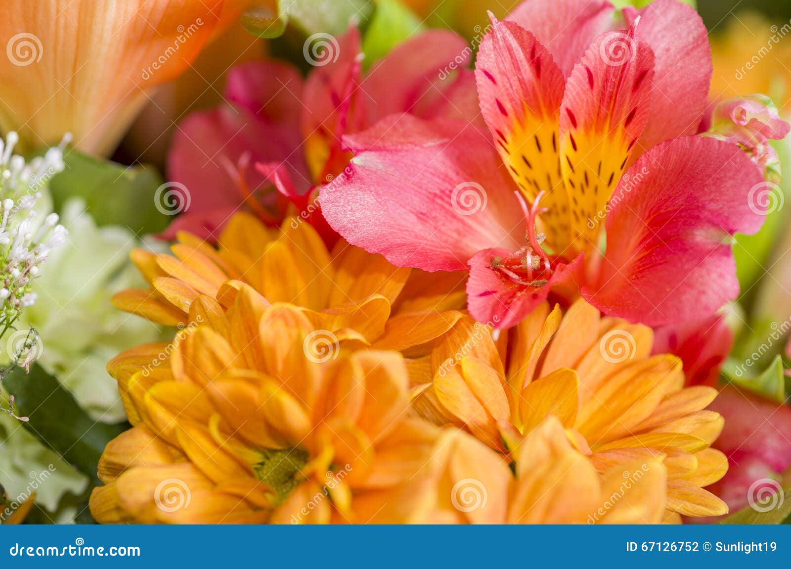 bouquet of alstroemeria