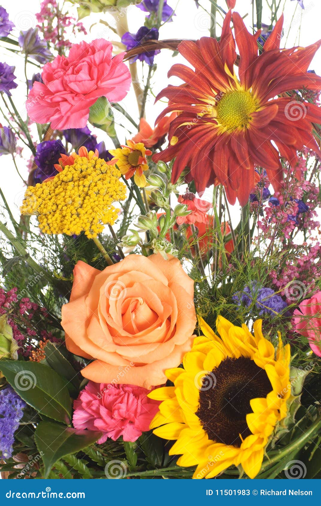 Bouquet of Assorted Flowers Stock Image Image of isolation, closeup