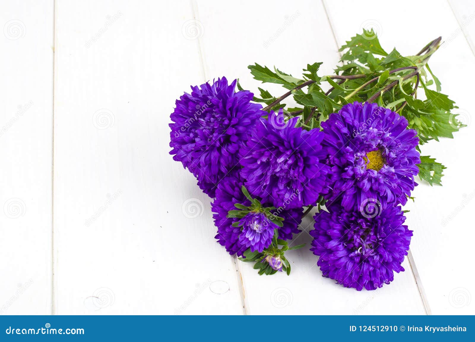 Bouquet of Autumn Violet Asters Stock Photo - Image of female, colorful ...