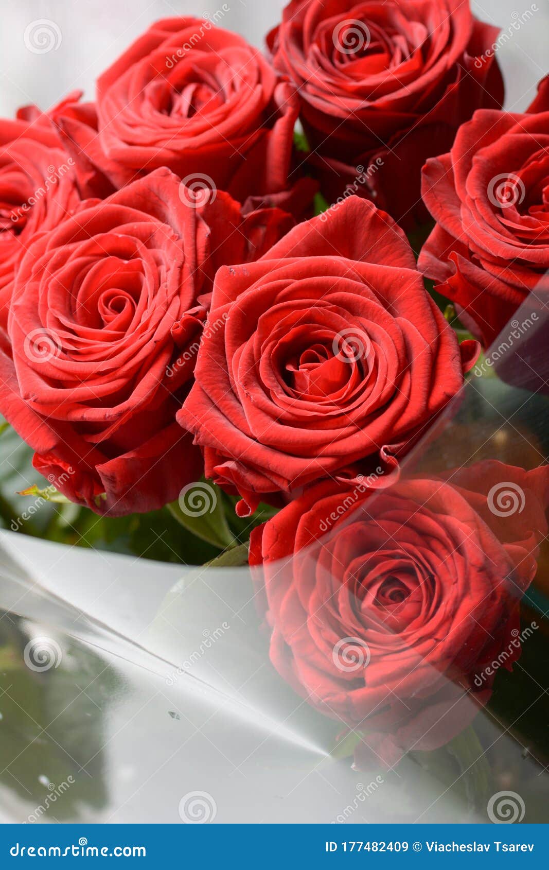 A Bouquet of Beautiful Burgundy Roses Close-up. Stock Image - Image of ...
