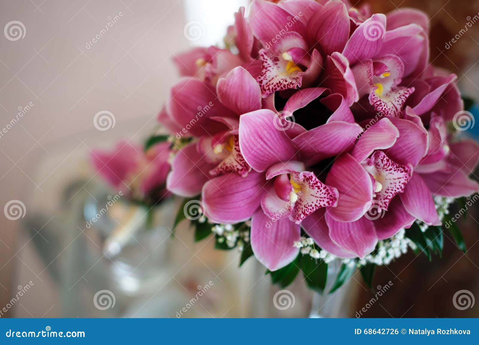 A Bouquet of Beautiful Flowers of Orchids. Stock Photo - Image of  background, flower: 68642726