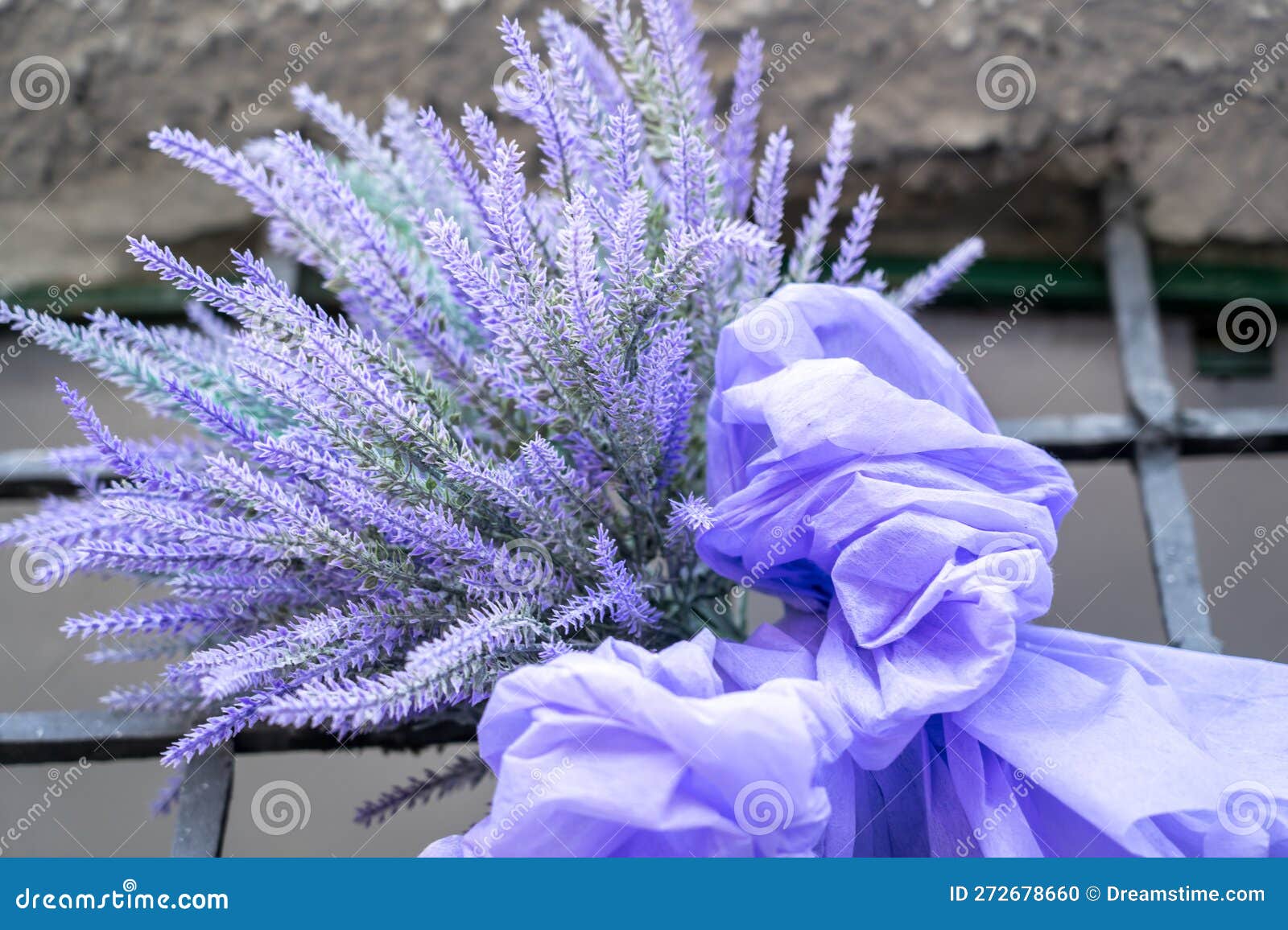 Bouquet of Beautiful Lavender Flowers Stock Photo Image of homeopathy