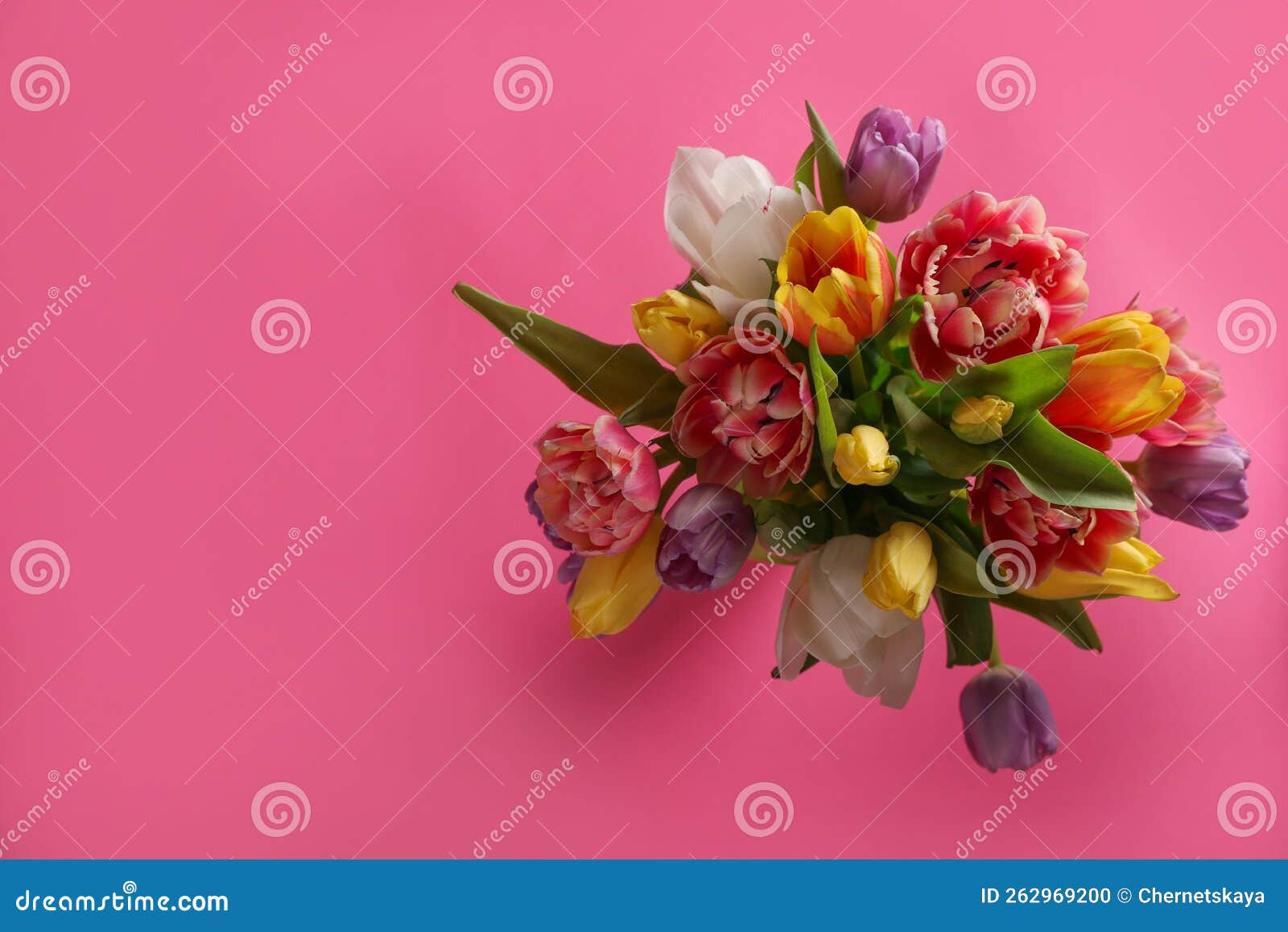 Bouquet of Beautiful Tulips on Pink Background, Top View. Space for Text Stock Photo Image of