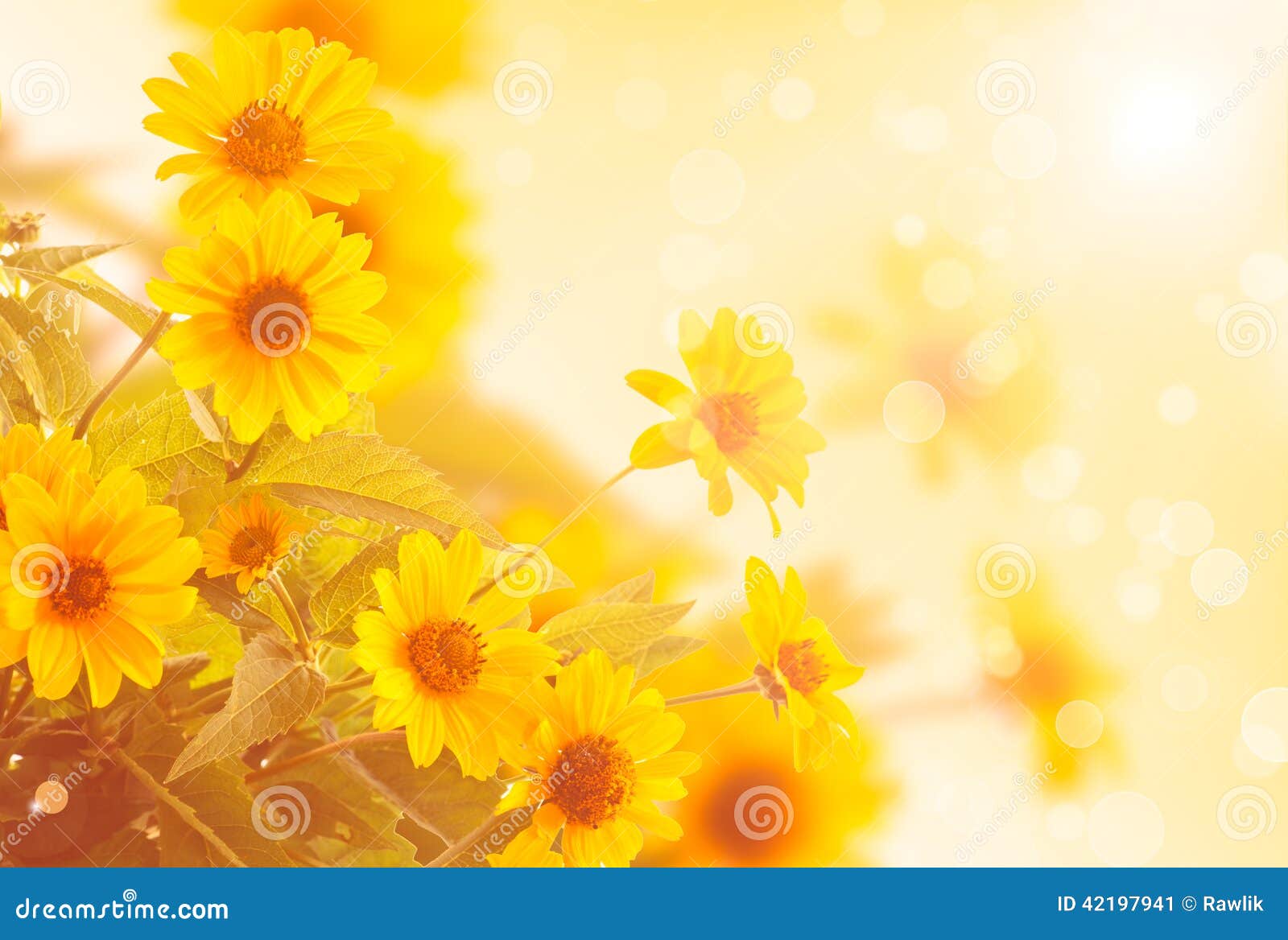 Bouquet Of Beautiful Yellow Daisies Stock Image Image of floral