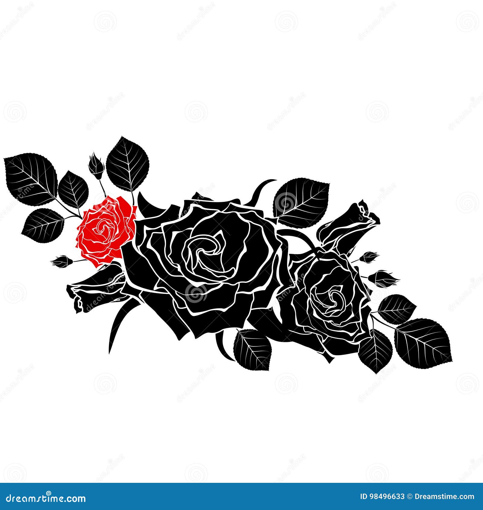 A Bouquet of Black Roses with One Red on a White Background.Vector ...