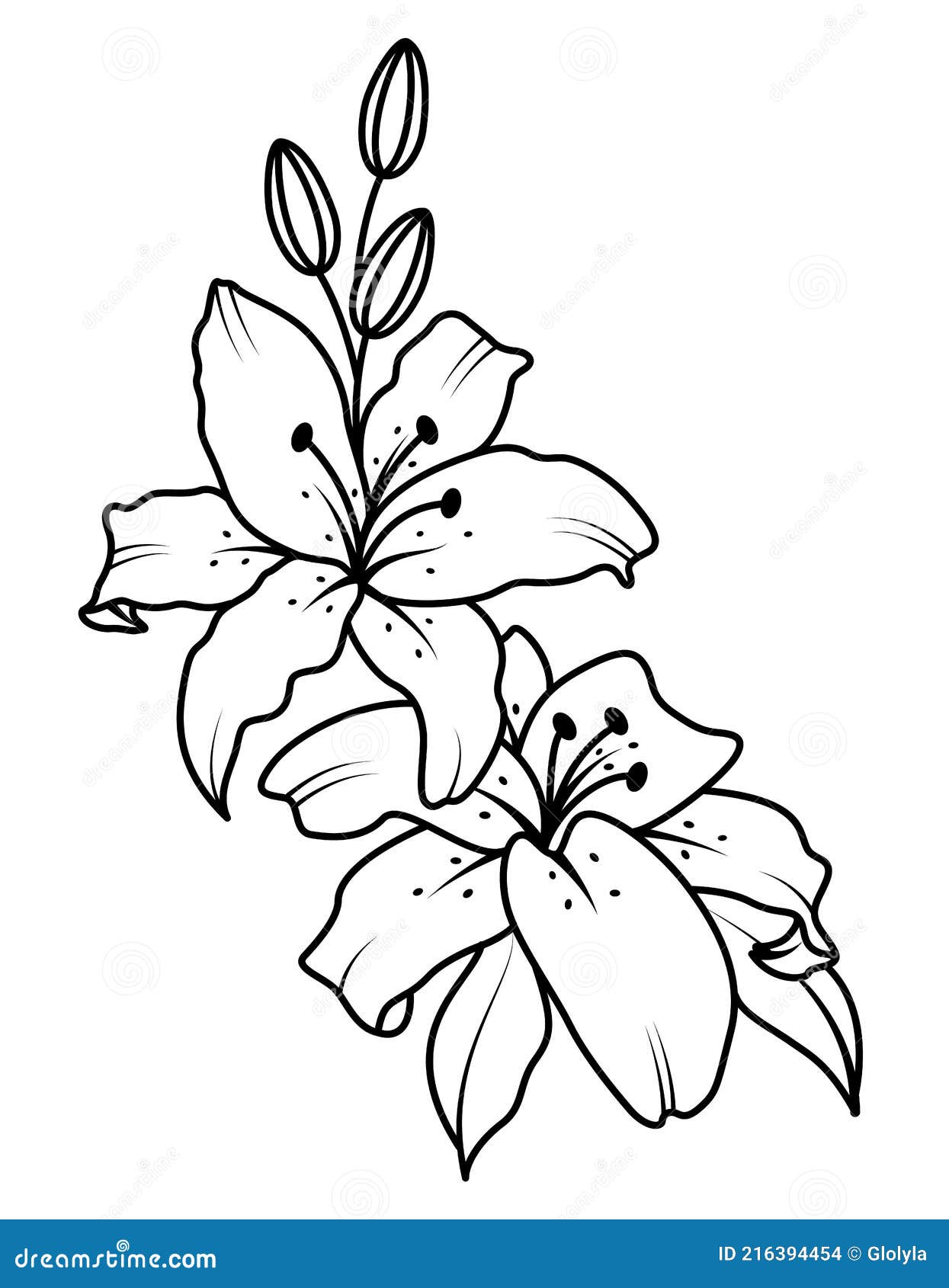Bouquet of Blooming Lilies. Vector Illustration. Stock Vector ...