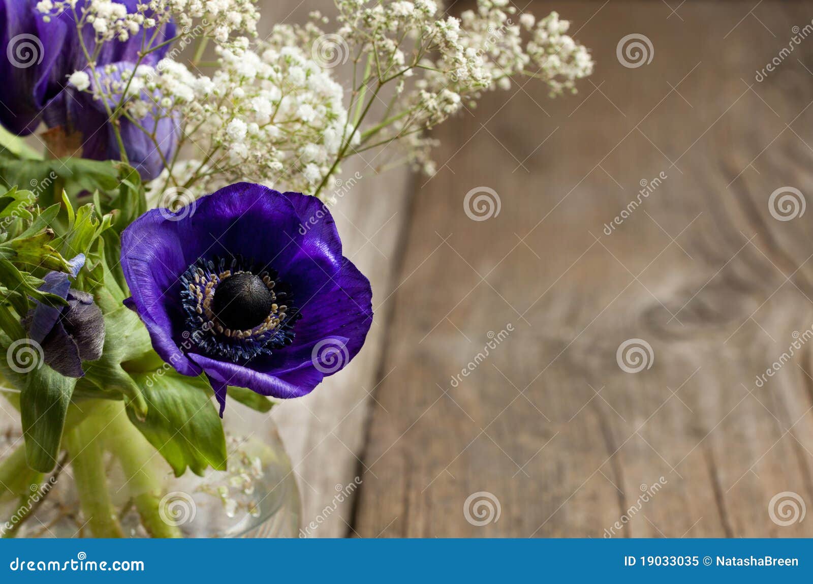 Bouquet of blue anemones stock image. Image of poppy 19033035
